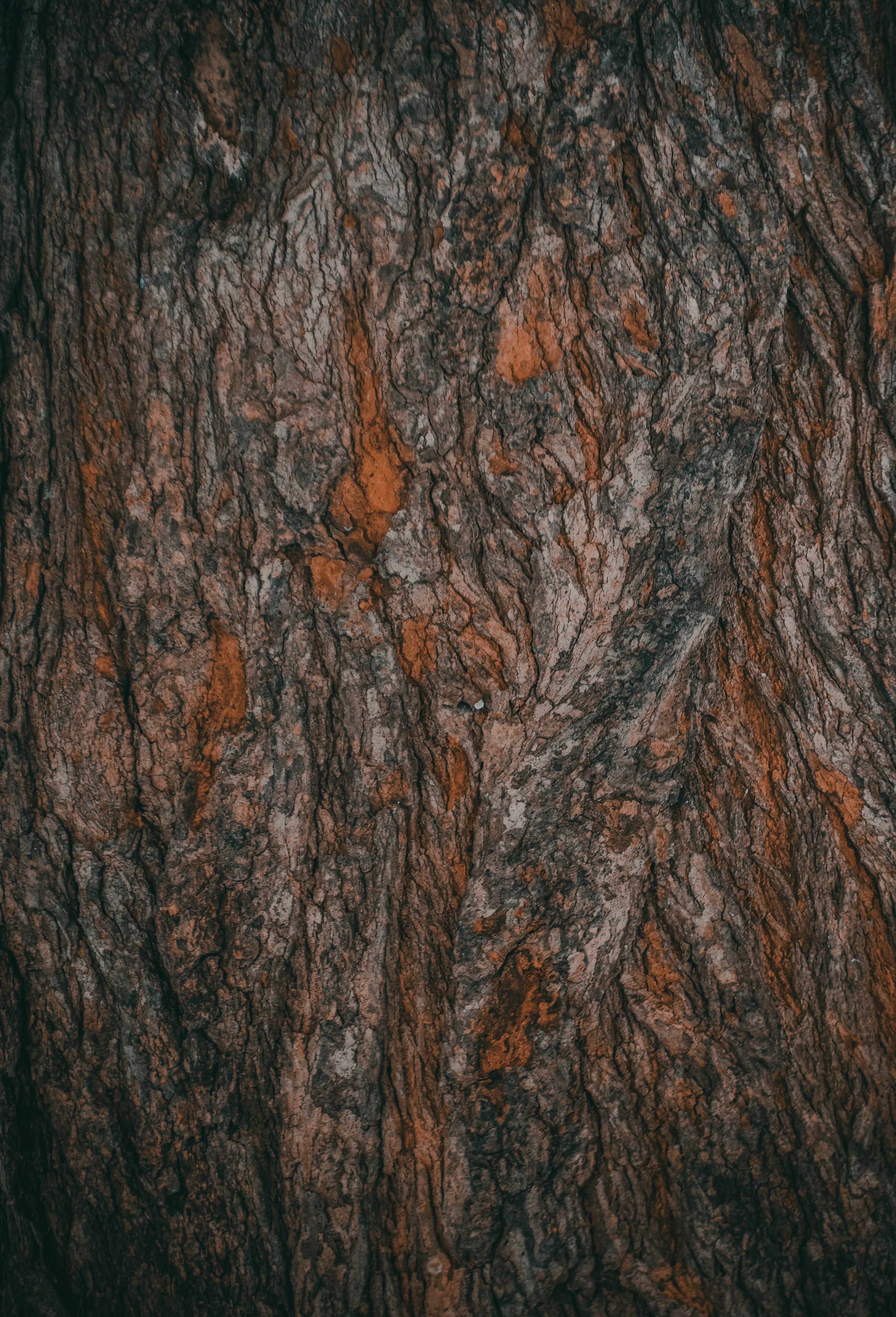 Photo by navi_photography