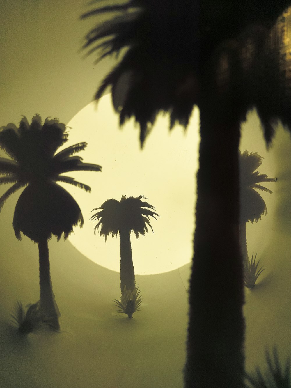 a couple of palm trees standing in the middle of a desert