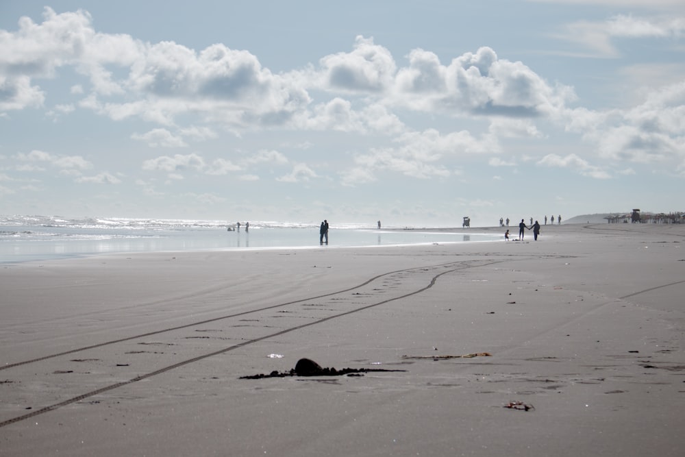 a group of people standing on top of a sandy beach