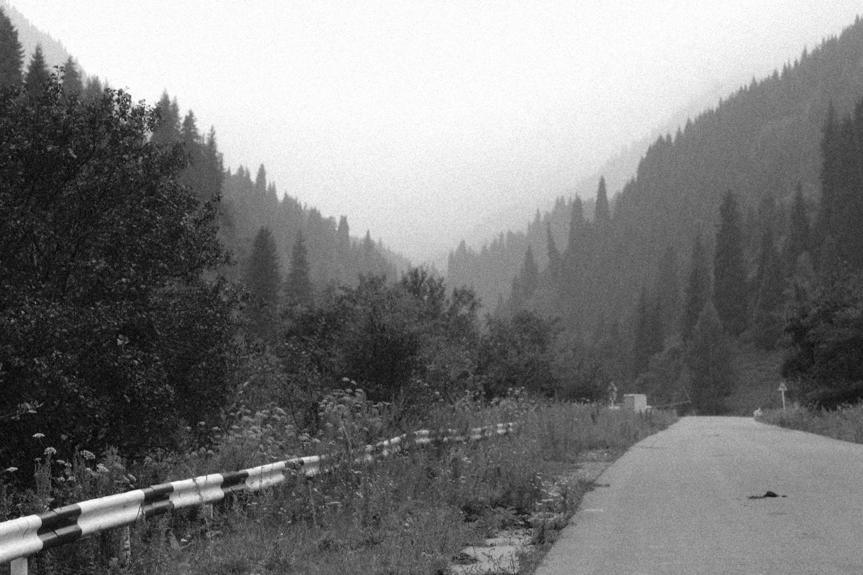 Photo by alexeydemidov