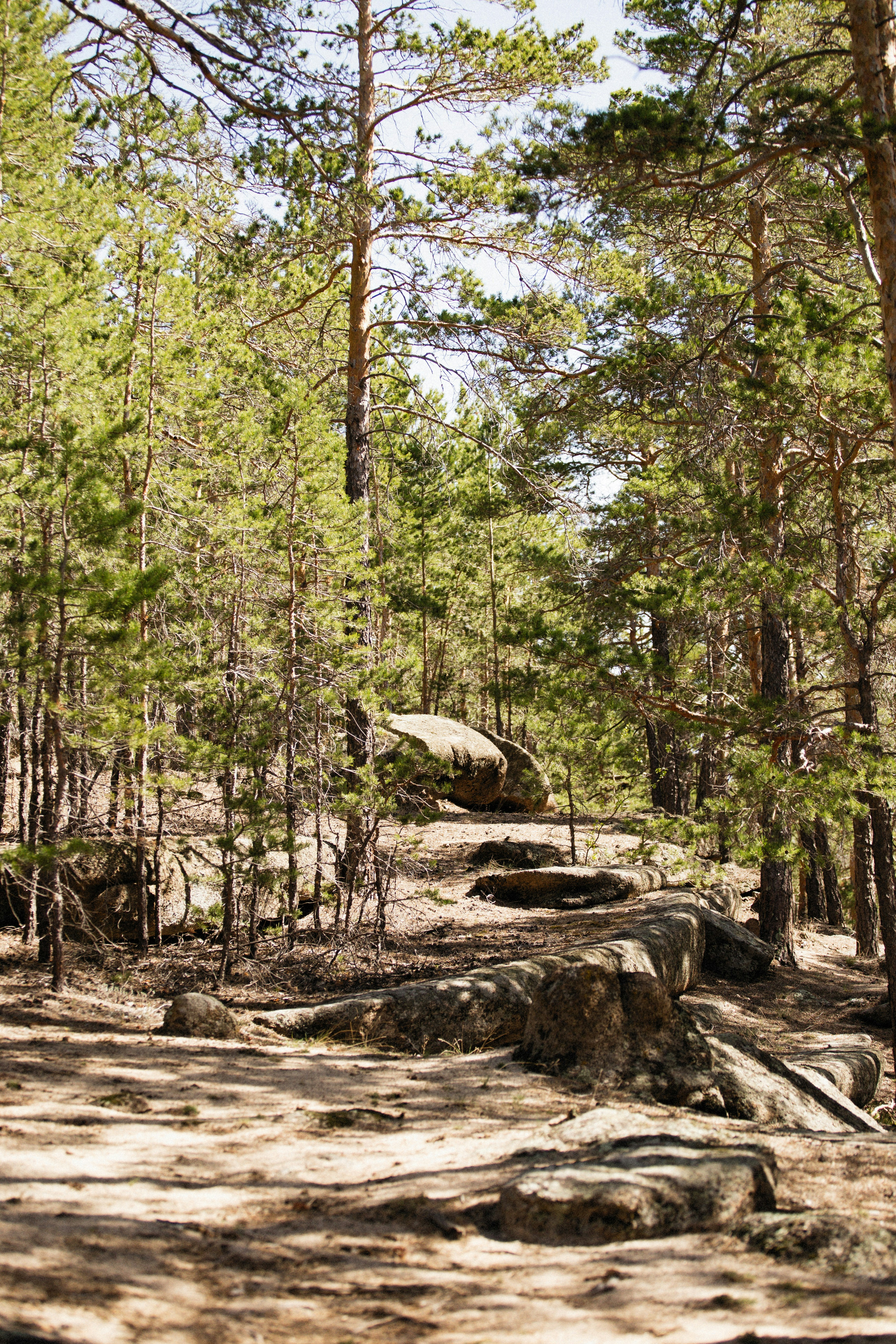 Photo by alexeydemidov