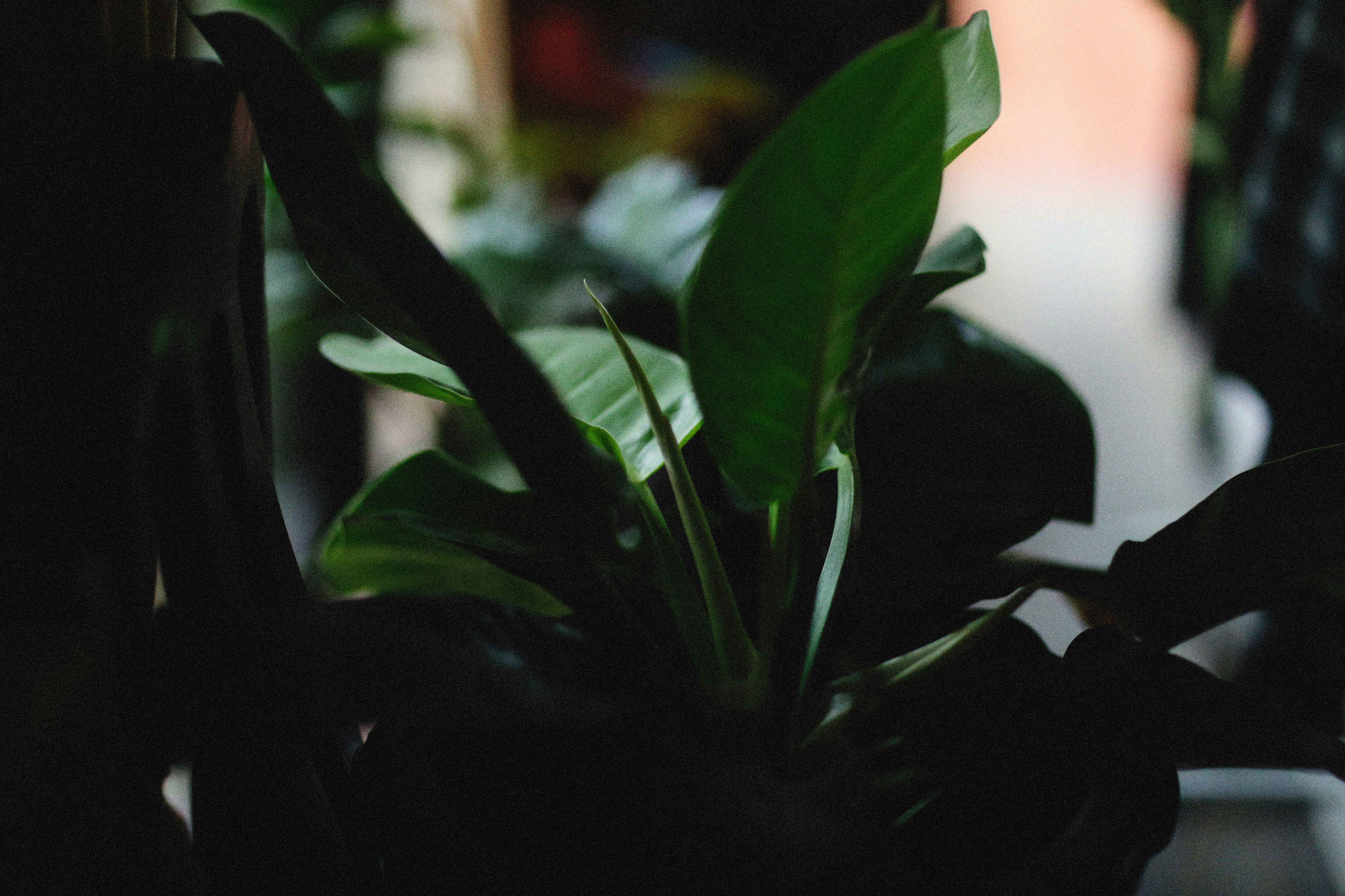 Photo by alexeydemidov