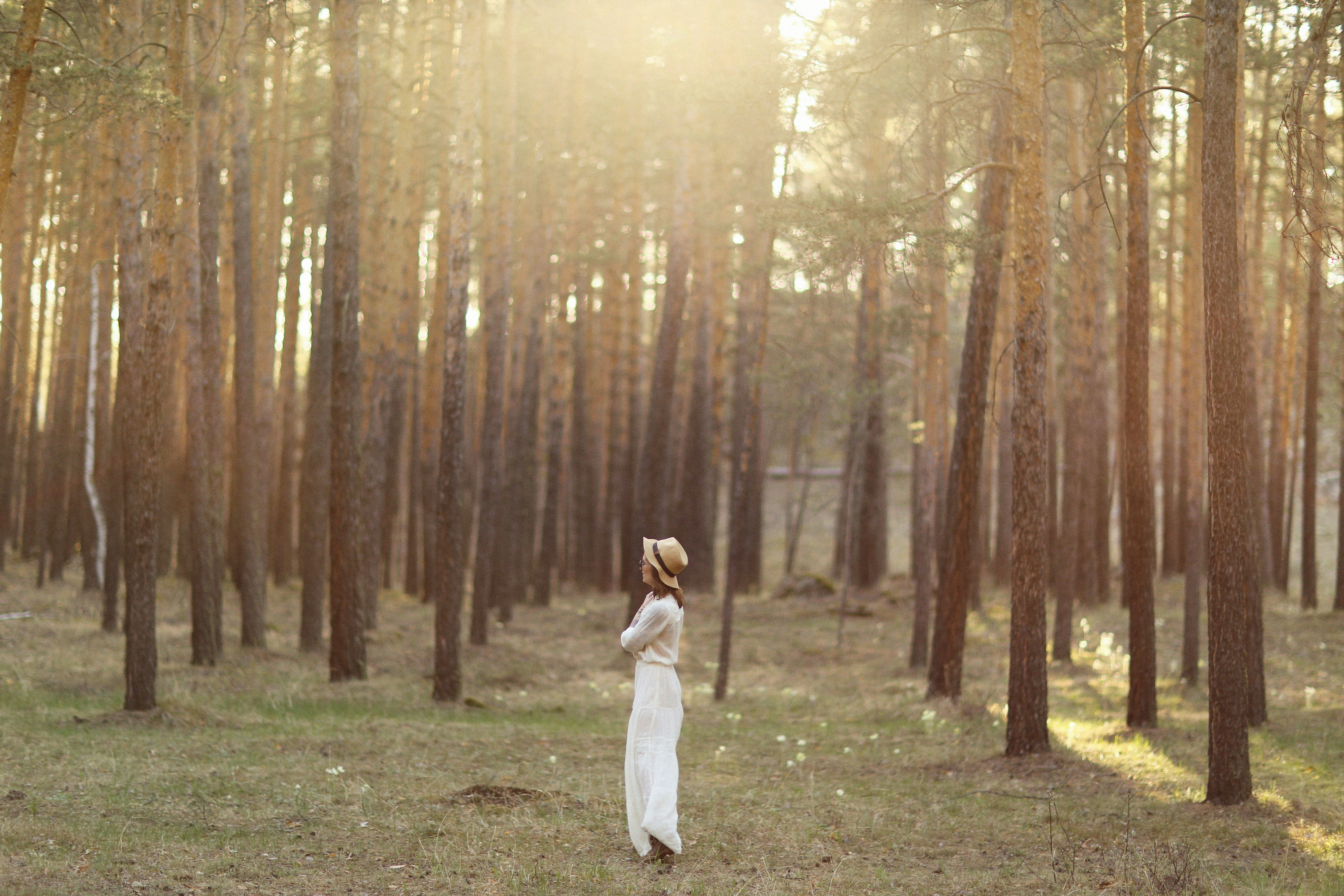 Photo by alexeydemidov