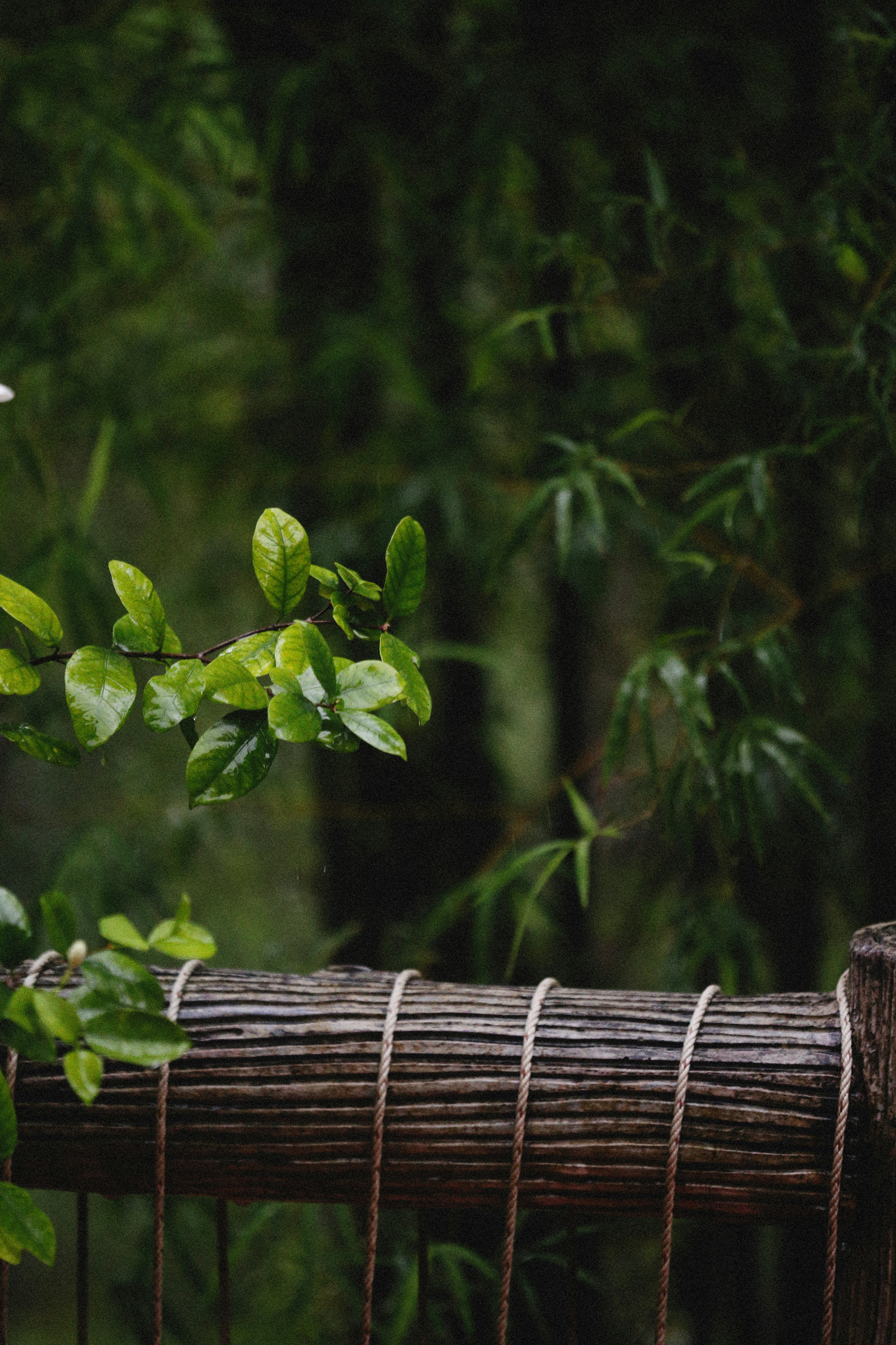 Photo by alexeydemidov