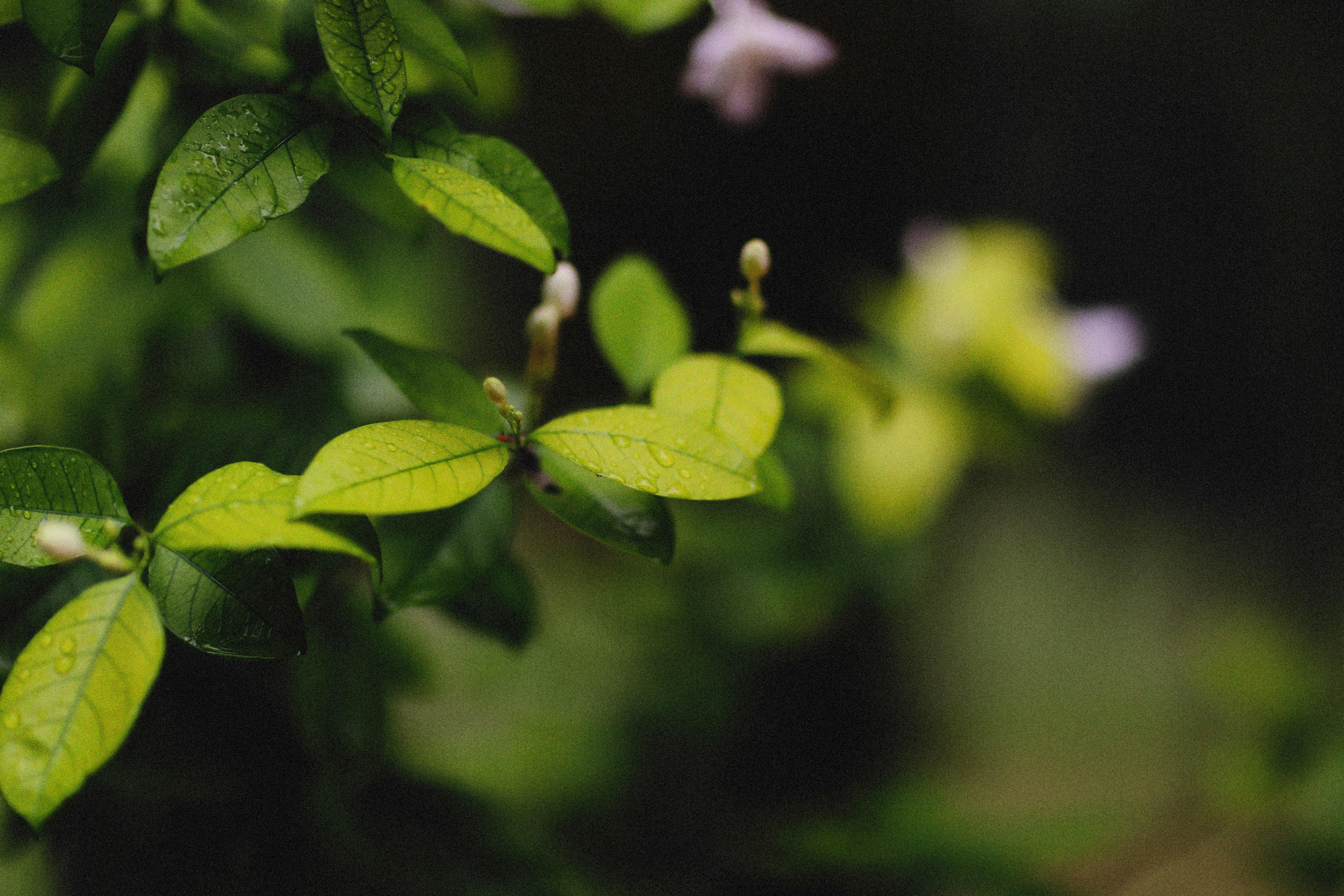 Photo by alexeydemidov