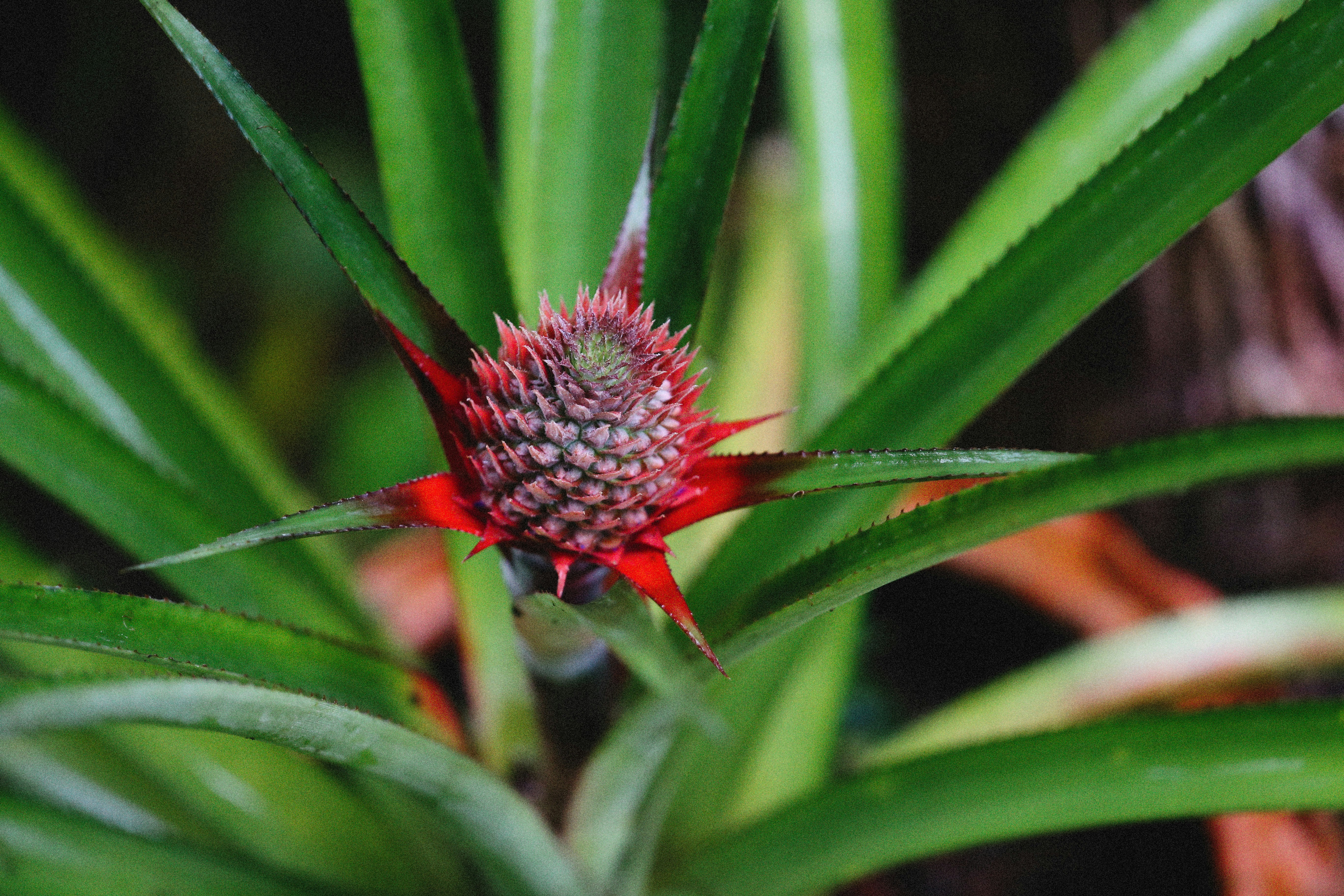 Photo by alexeydemidov