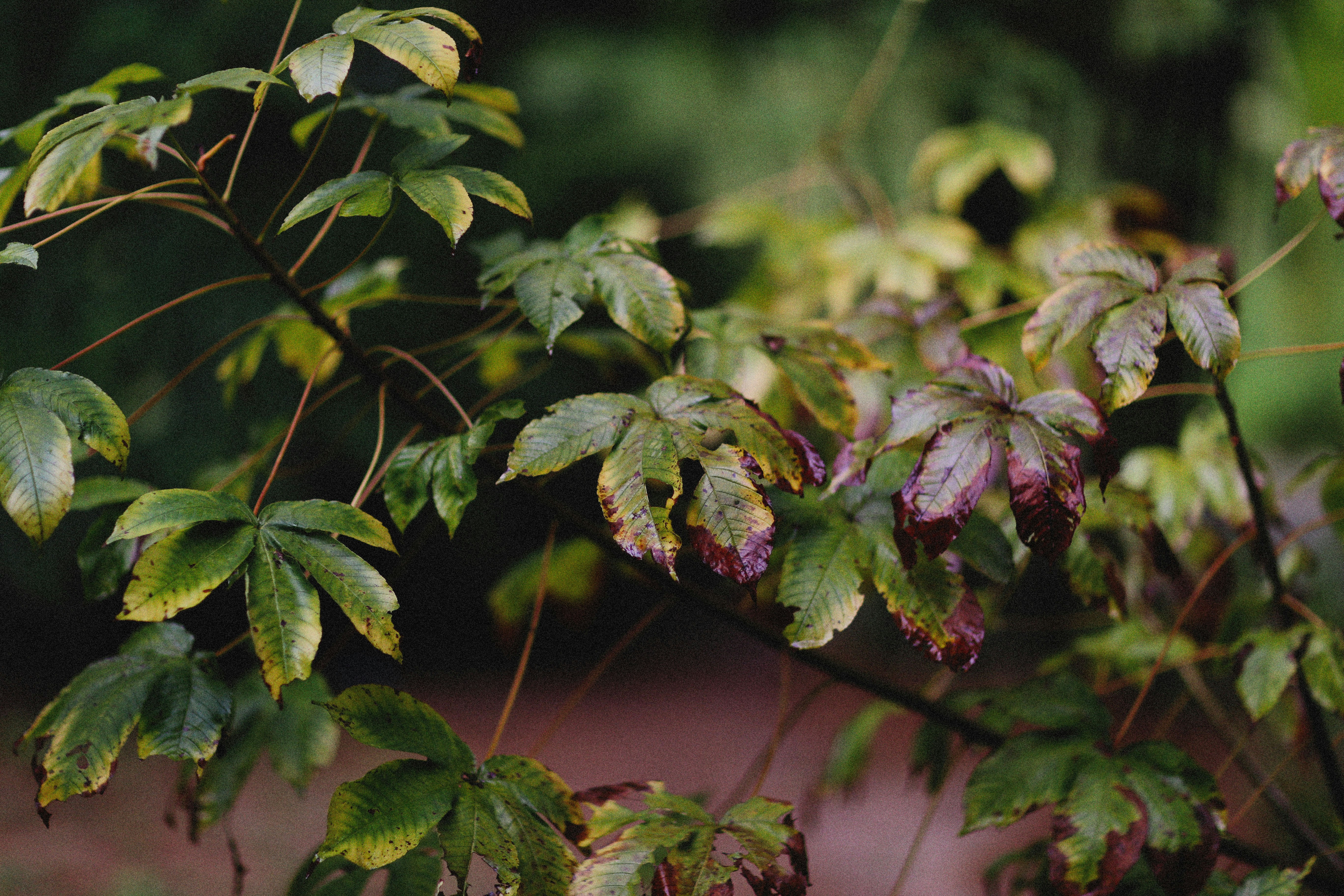 Photo by alexeydemidov