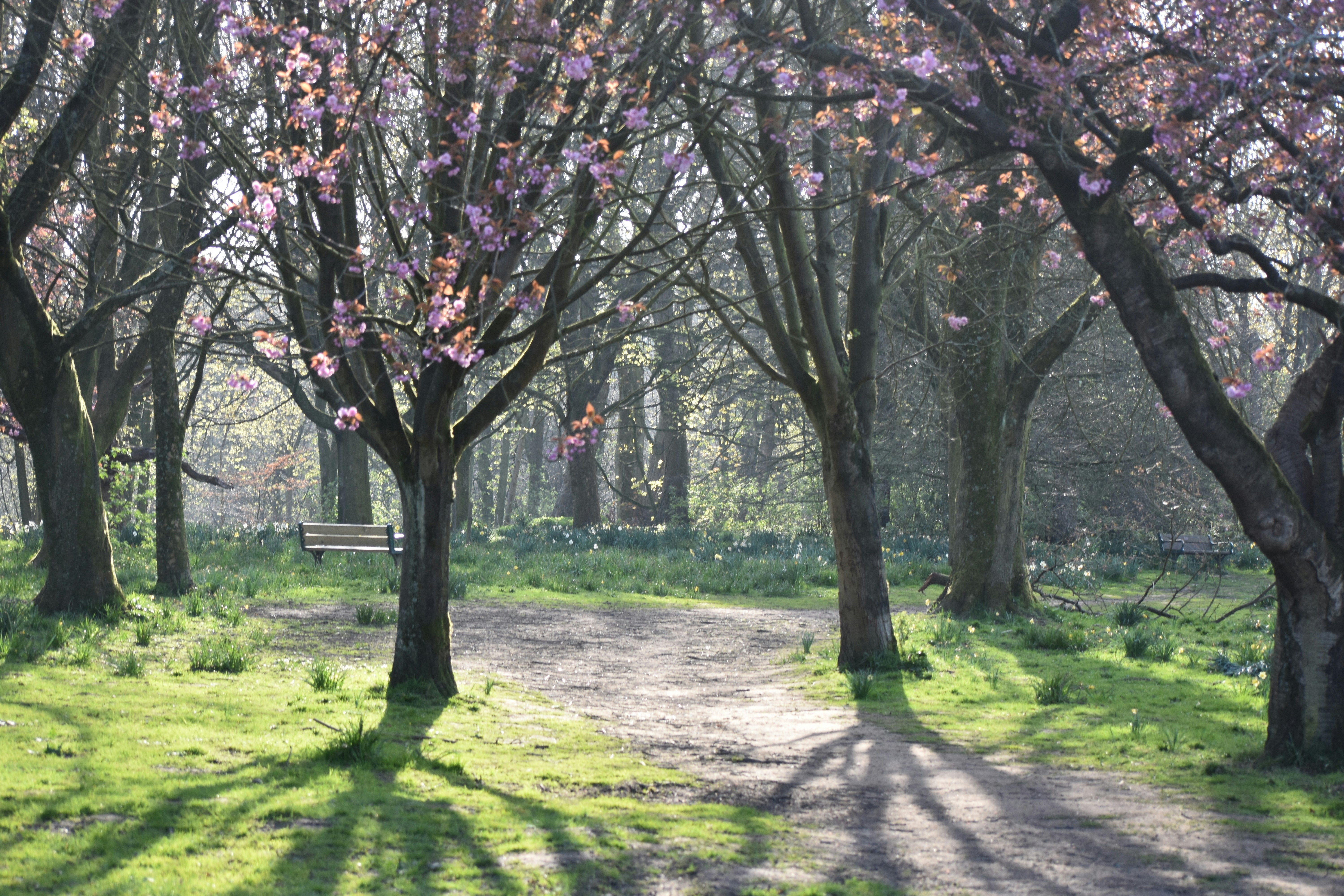 Photo by andrew_hall