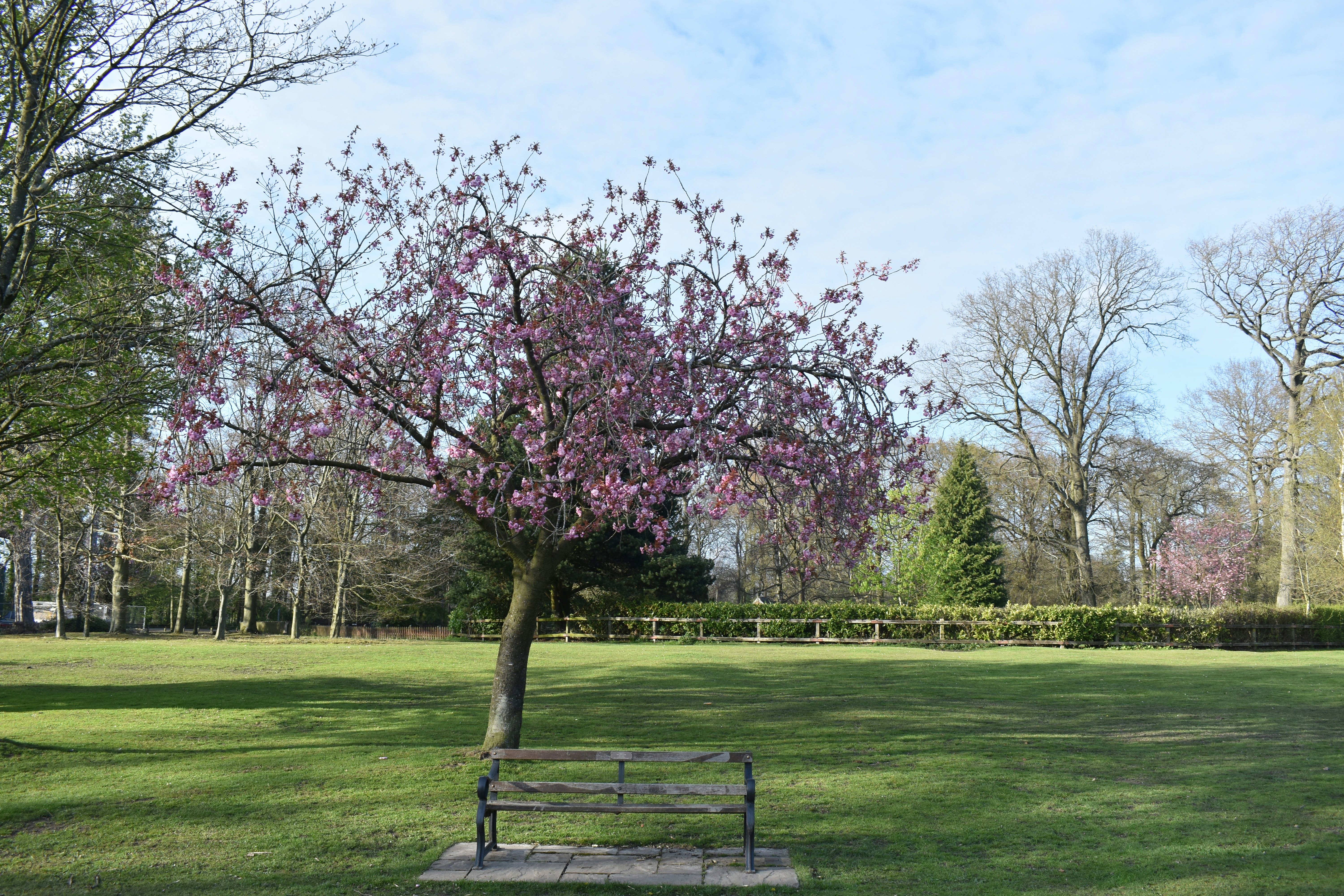 Photo by andrew_hall