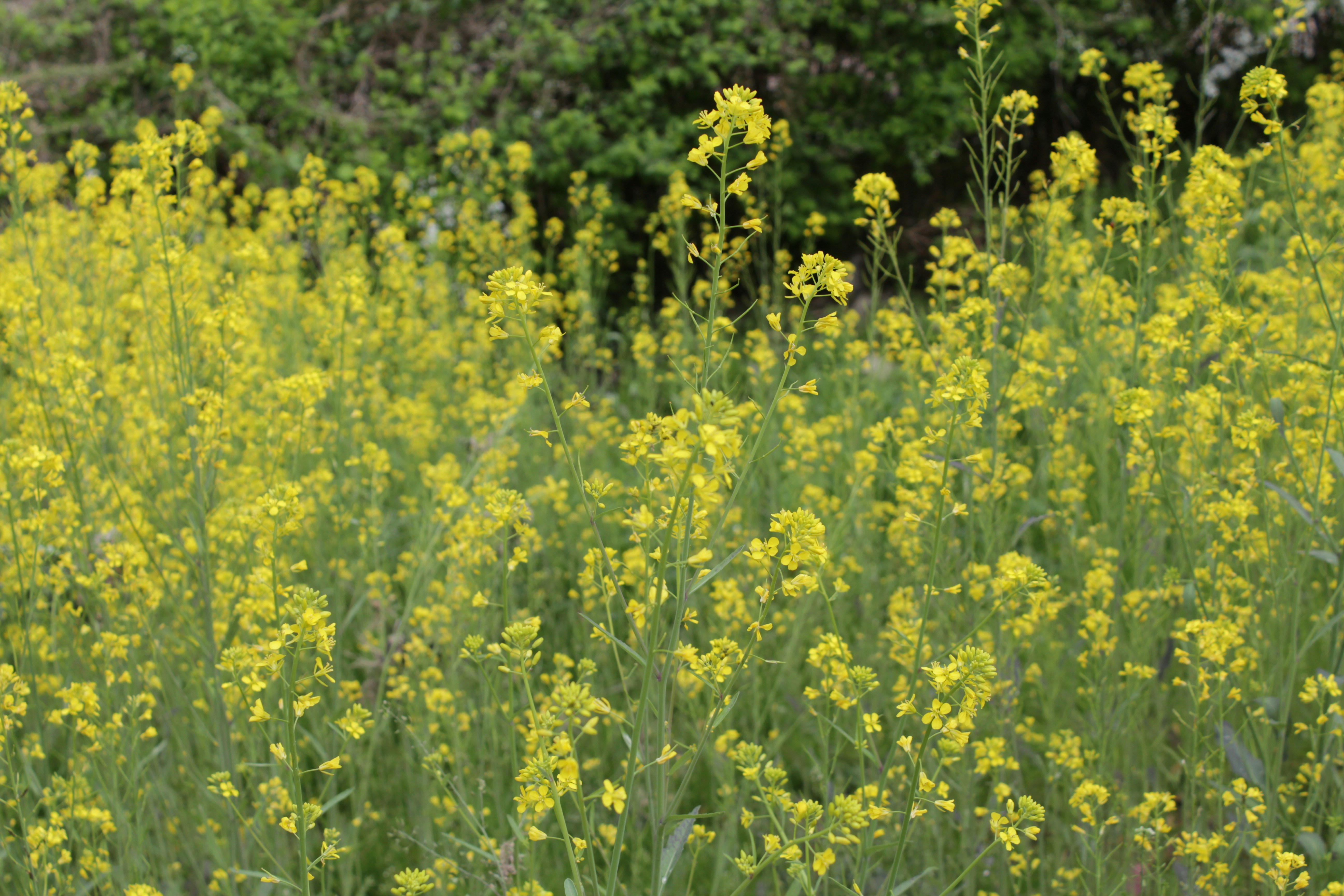 Photo by drewbae0505