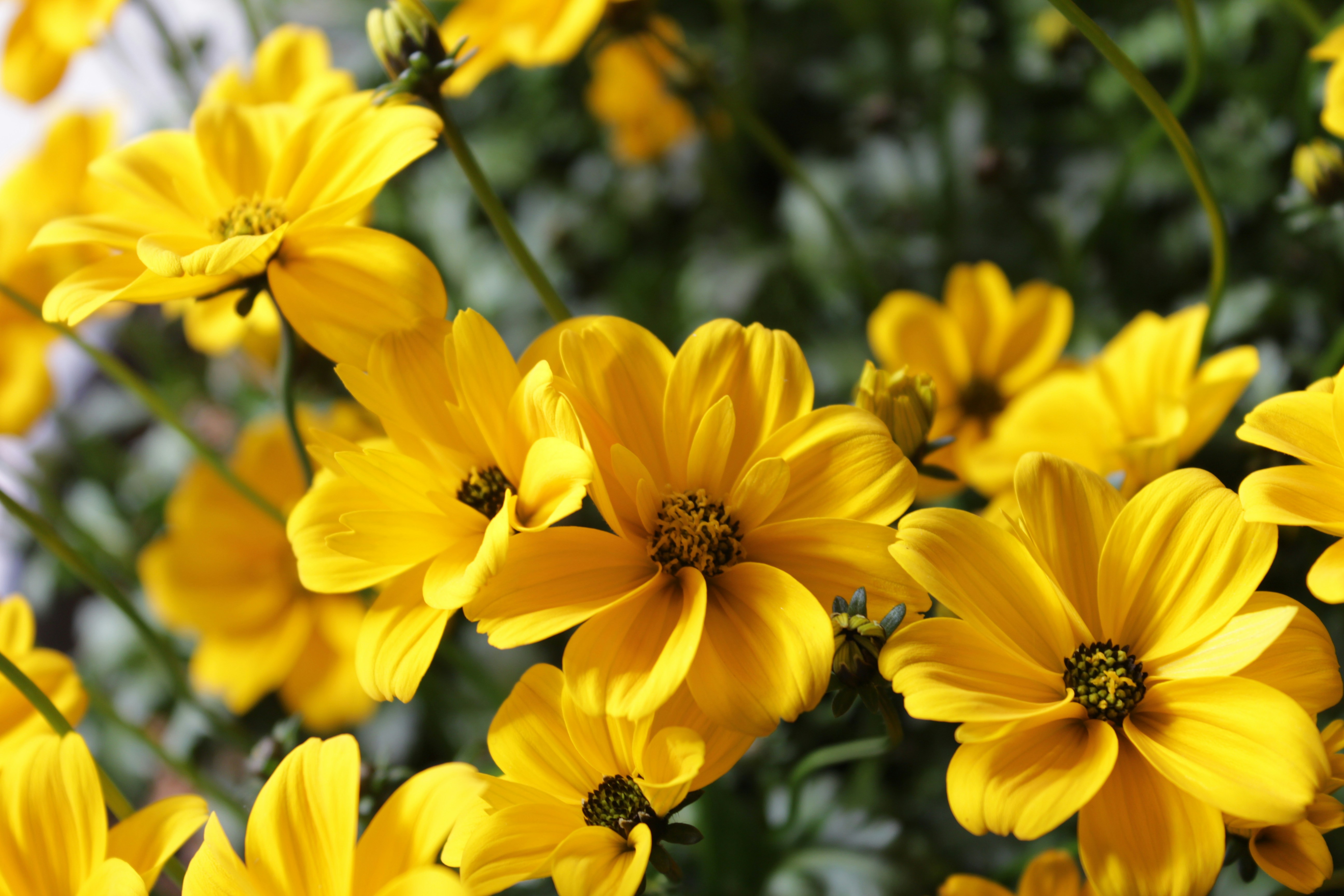 Photo by drewbae0505