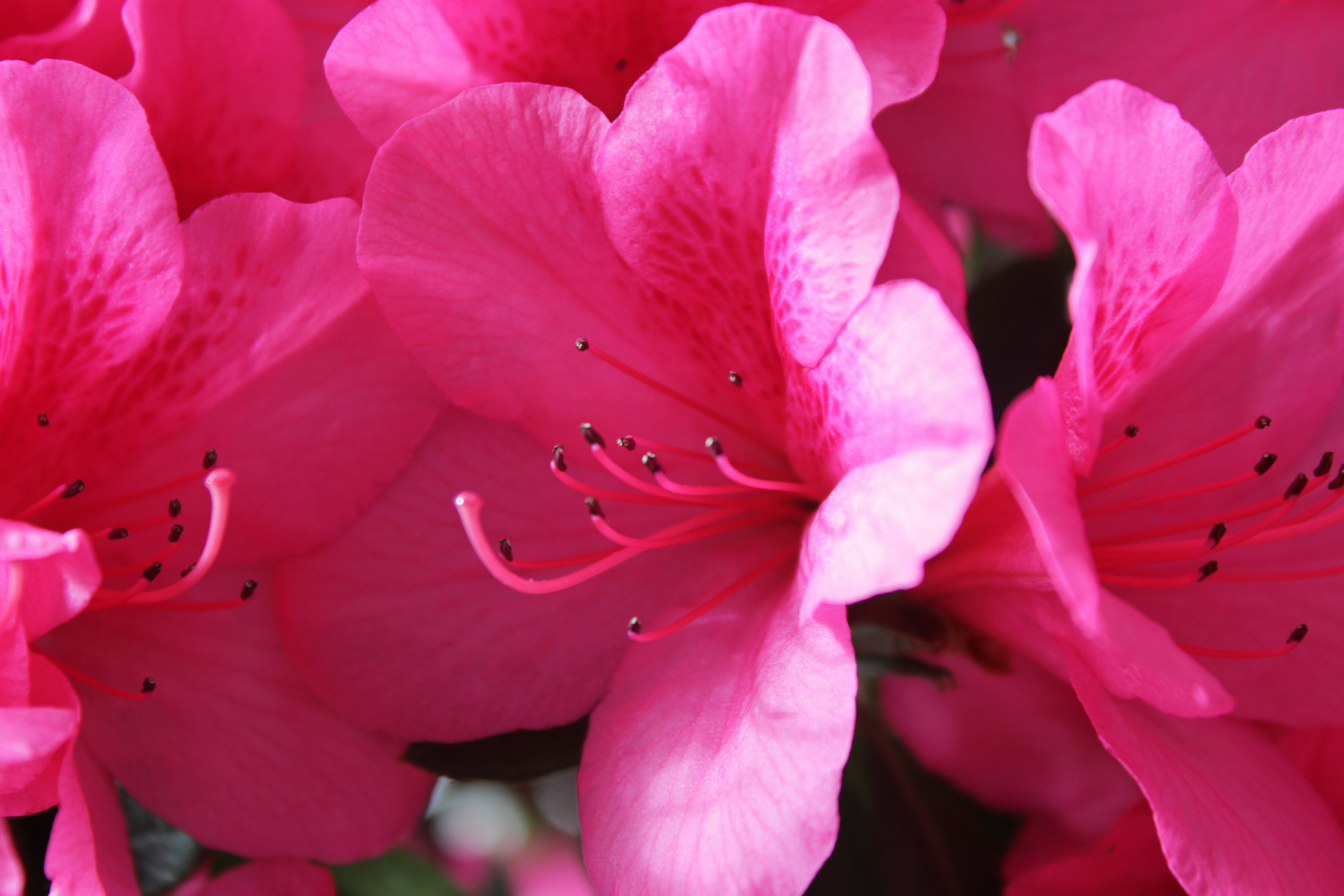 Photo by drewbae0505