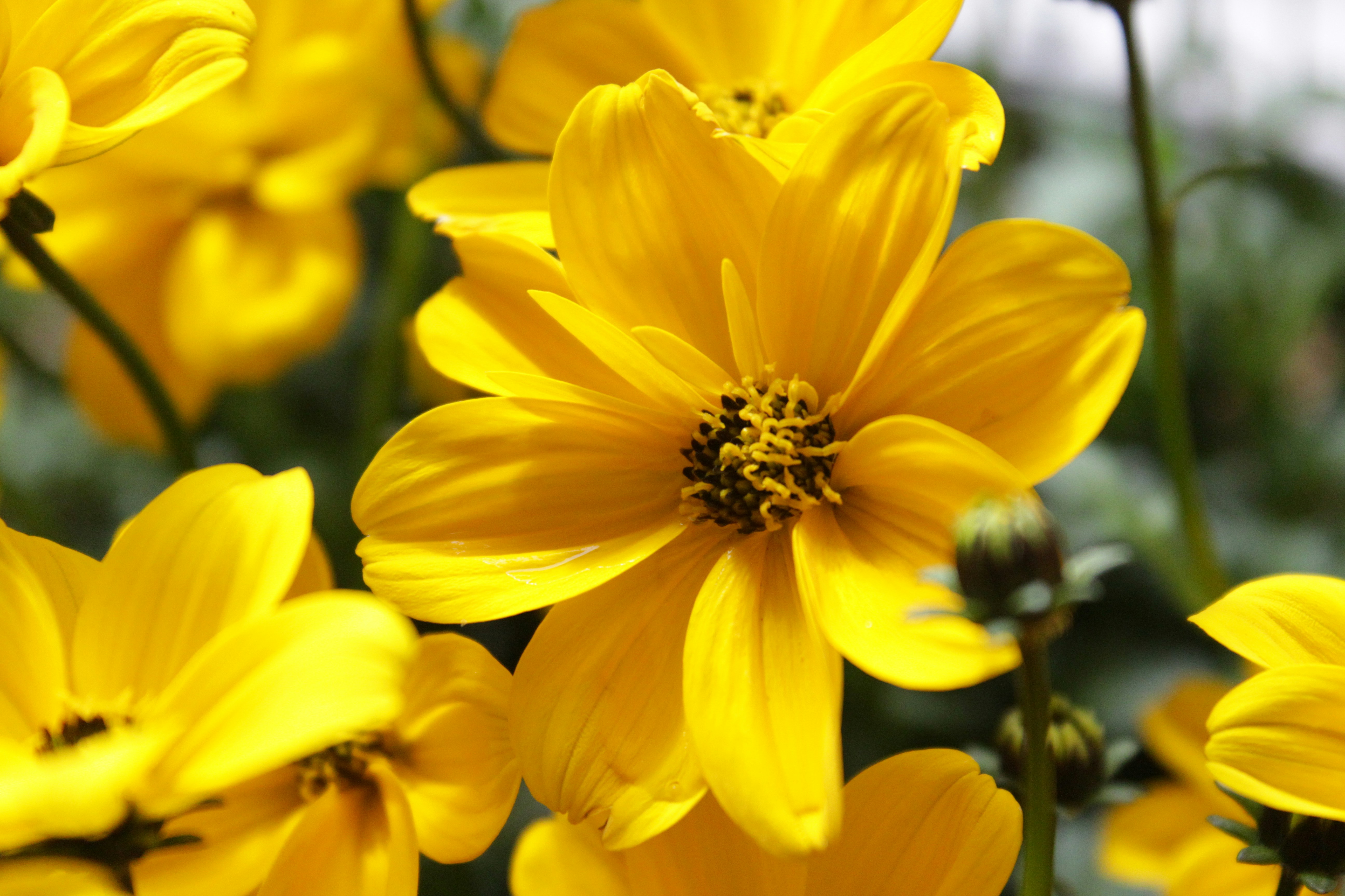 Photo by drewbae0505