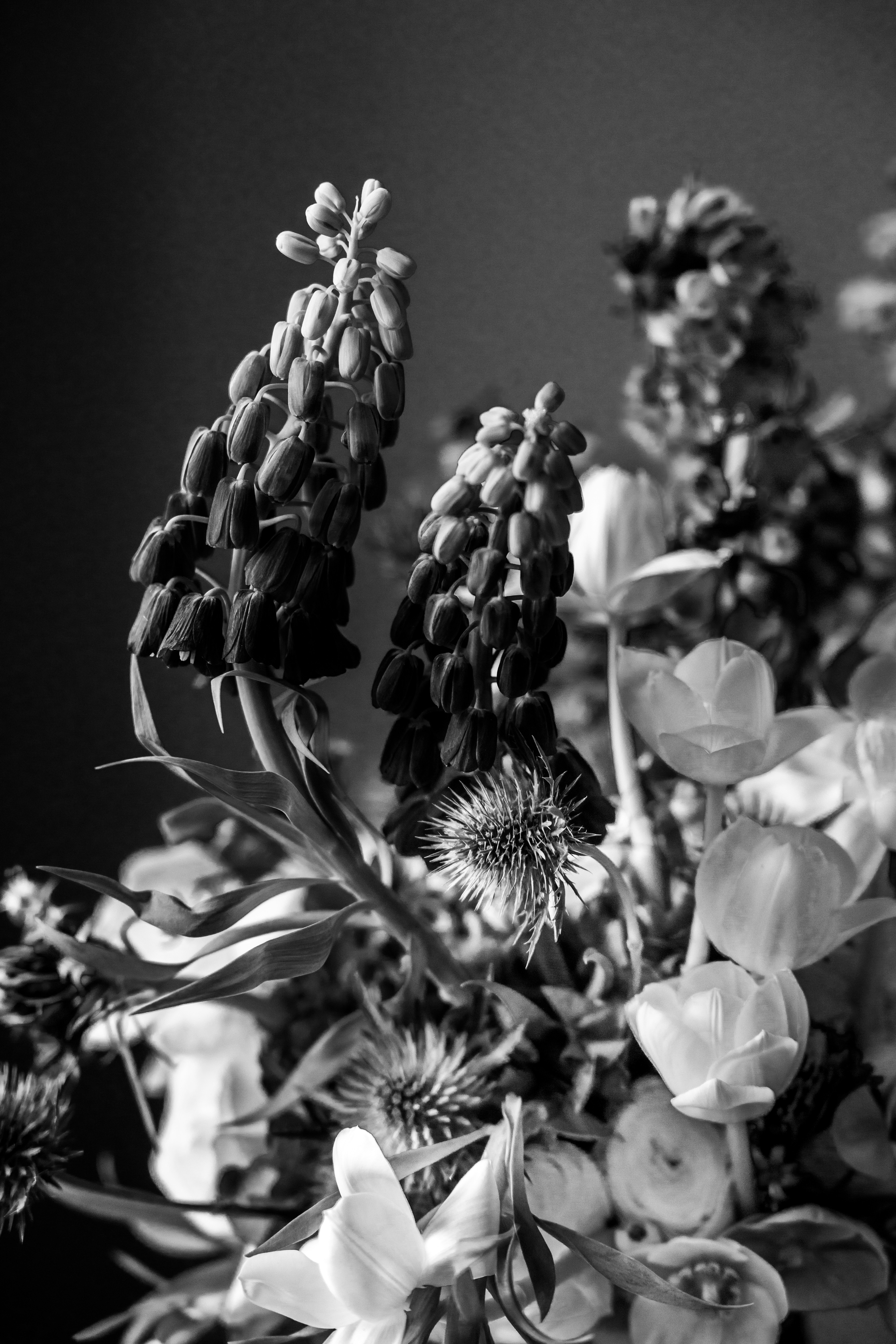 Photo by filipp_roman_photography