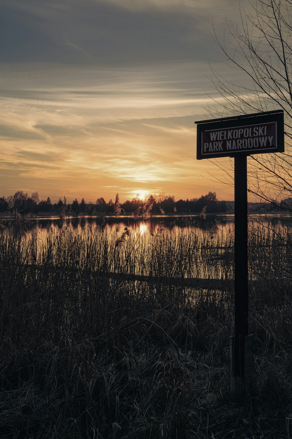 a sign that is in the grass near a body of water