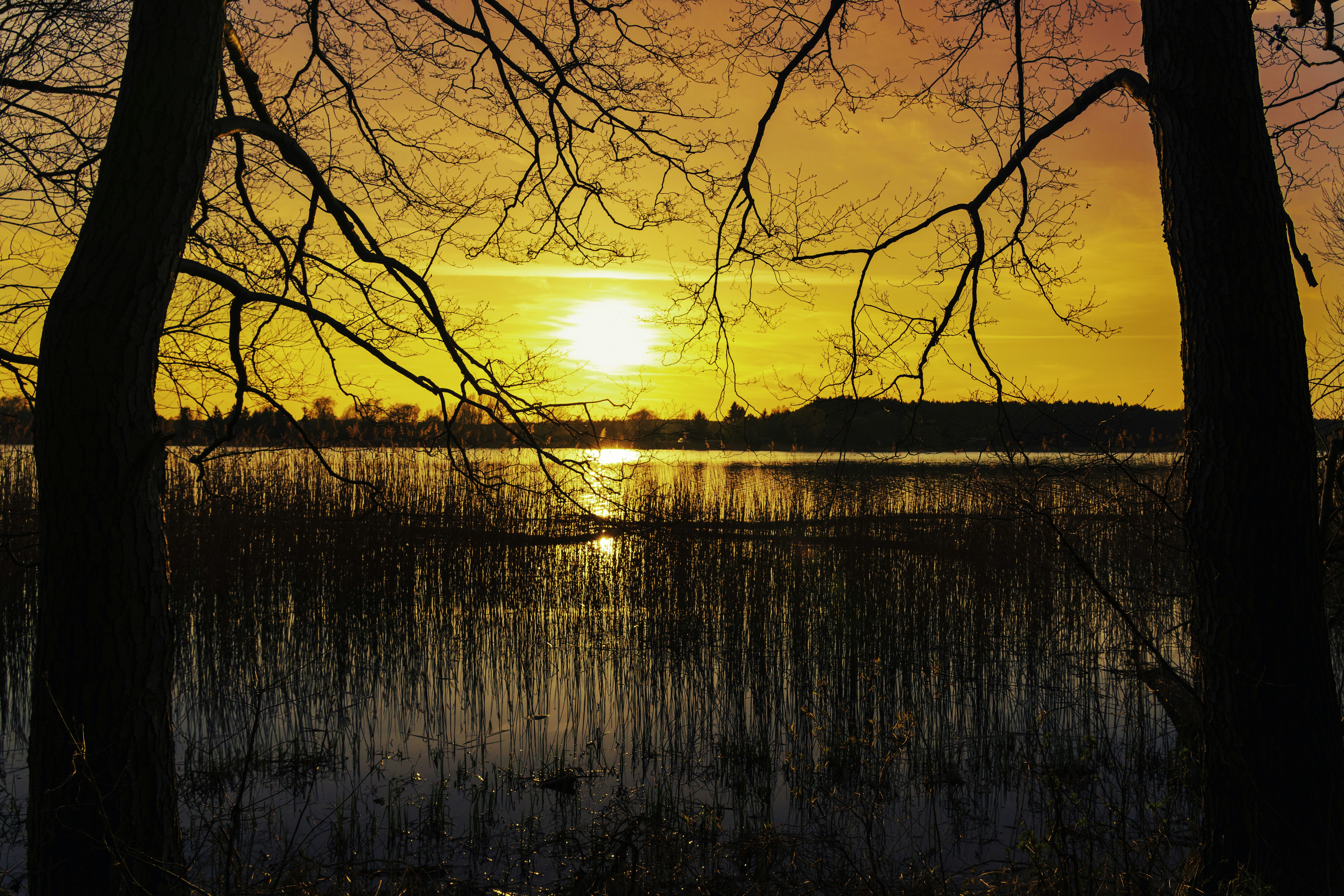 Photo by radek_blackseven