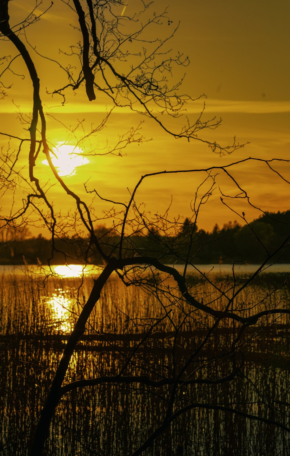 the sun is setting over a body of water