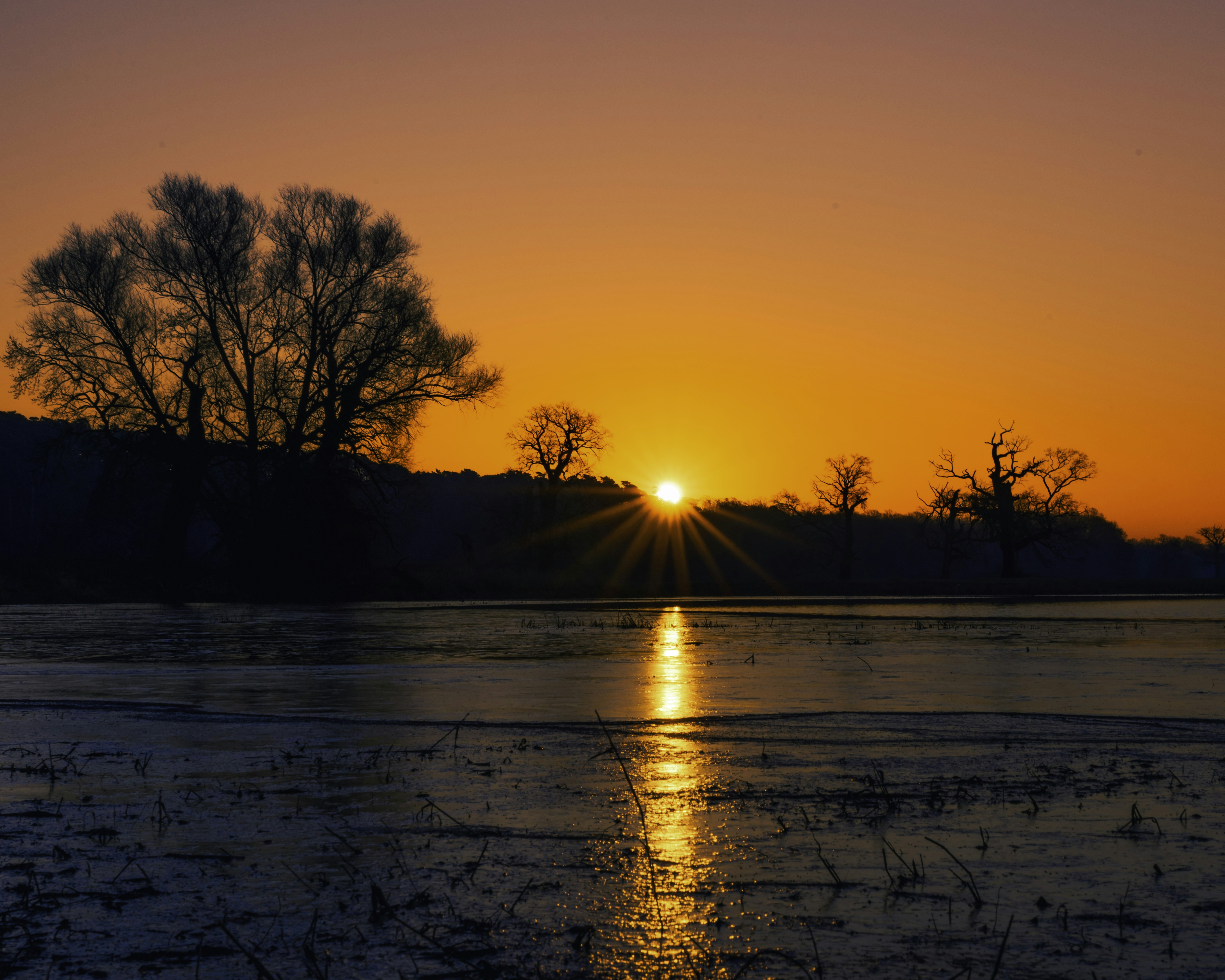 Photo by radek_blackseven