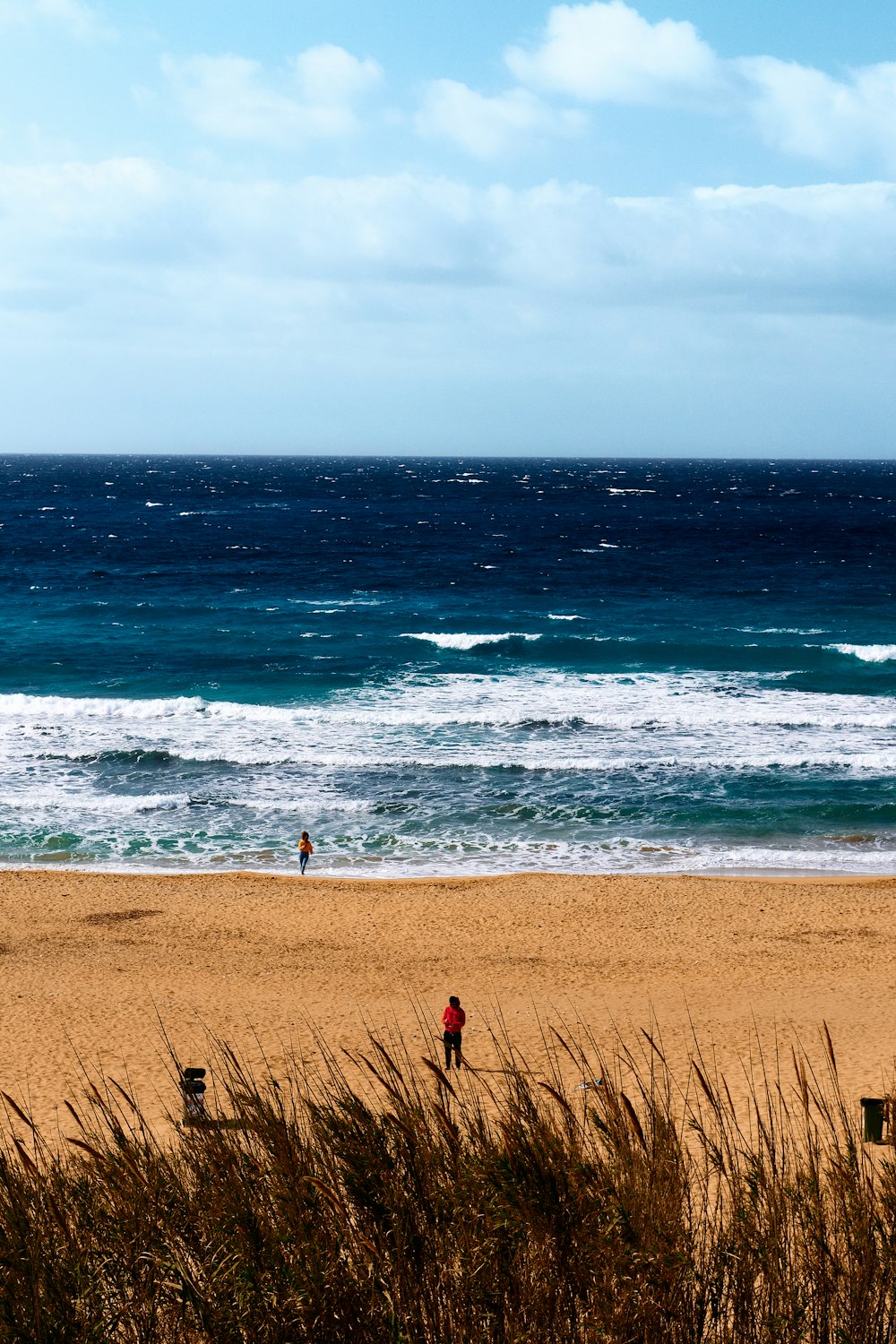 a couple of people standing on top of a sandy beach