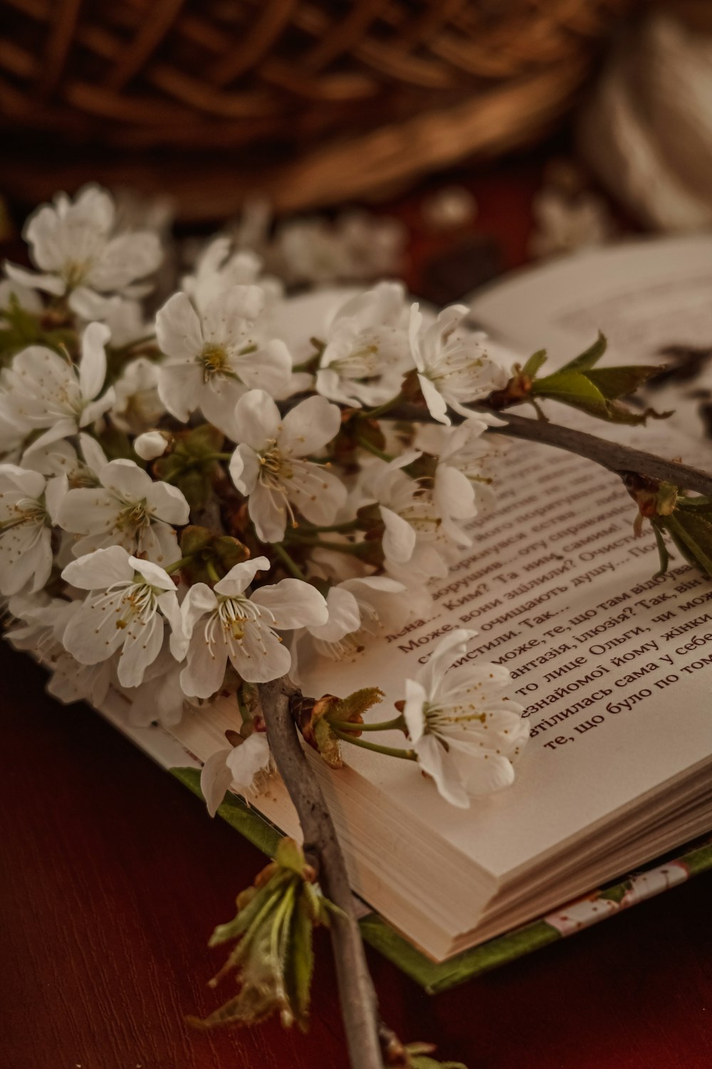 a close up of a book with flowers on it