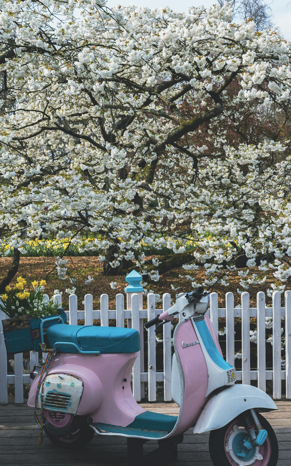 a pink and blue scooter parked on a wooden deck