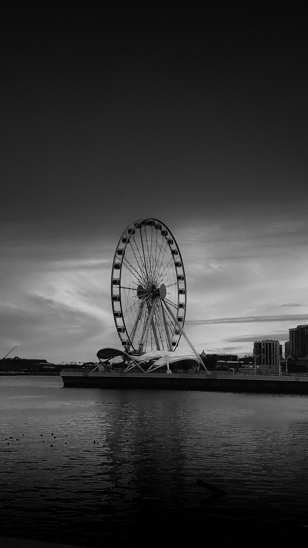 a ferris wheel sitting next to a body of water