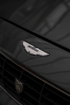 A close-up of a car's front grille displaying a prominent emblem with intricate details. The surface reflects light subtly, enhancing the elegance of the design.