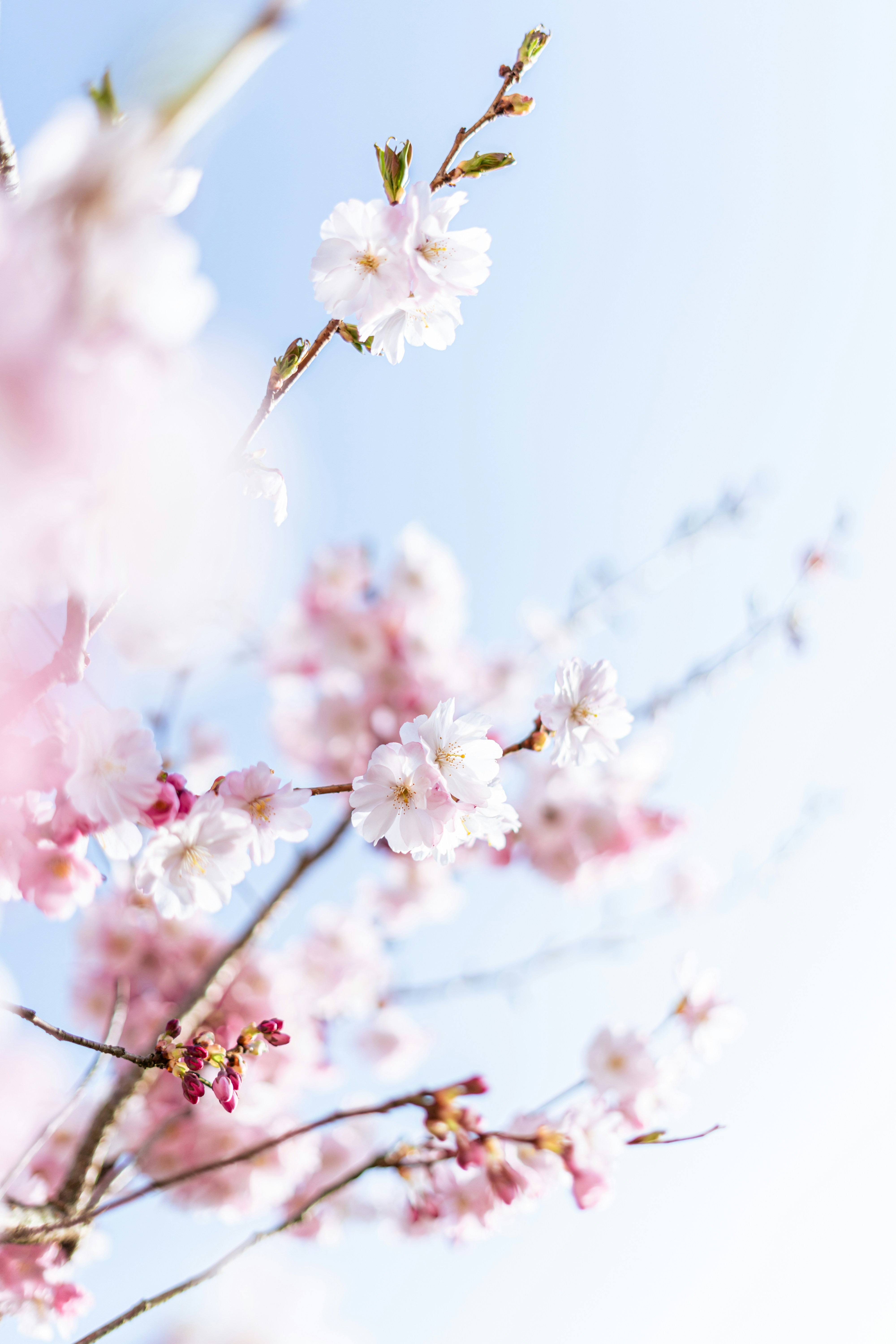 Photo by virussinside