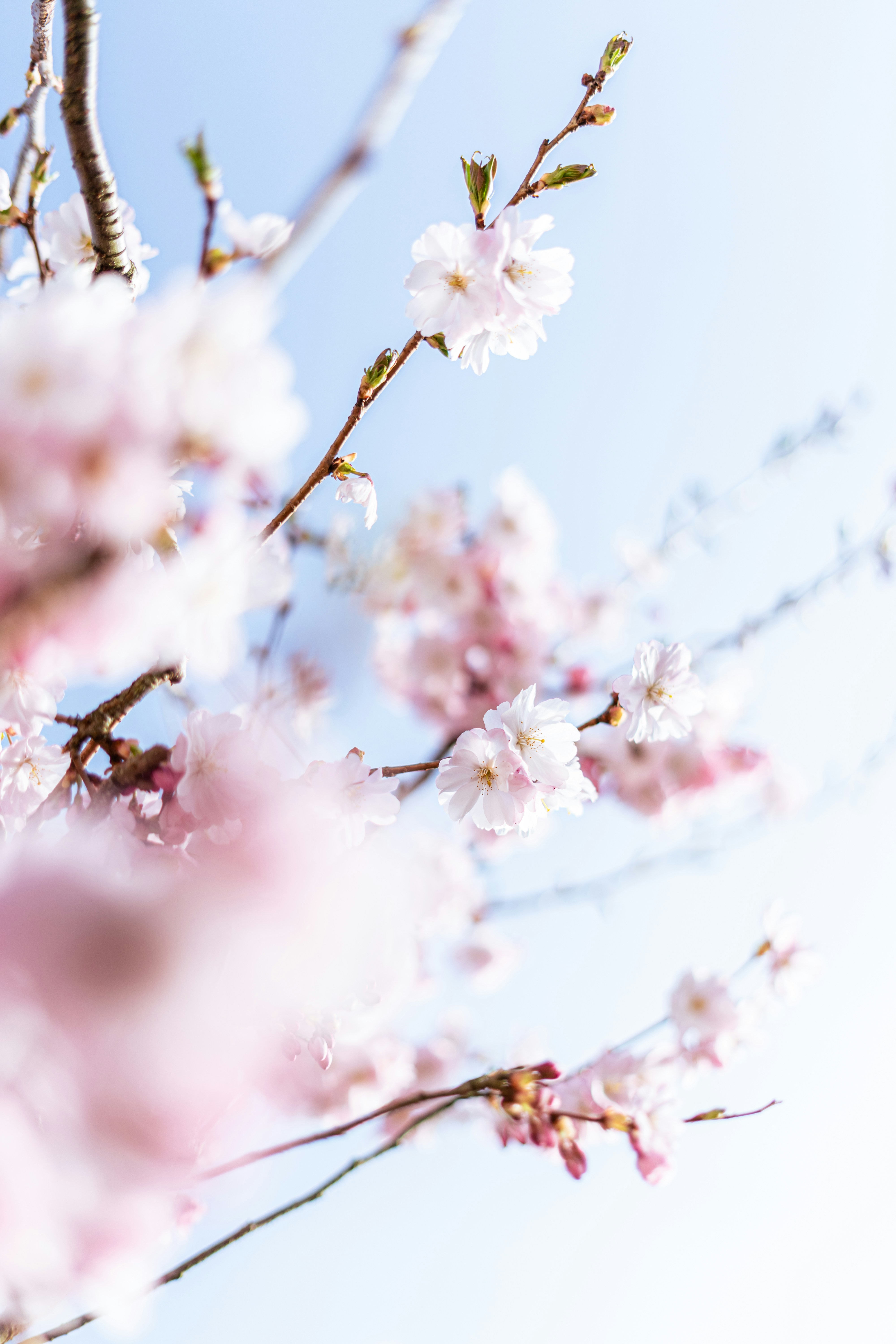 Photo by virussinside