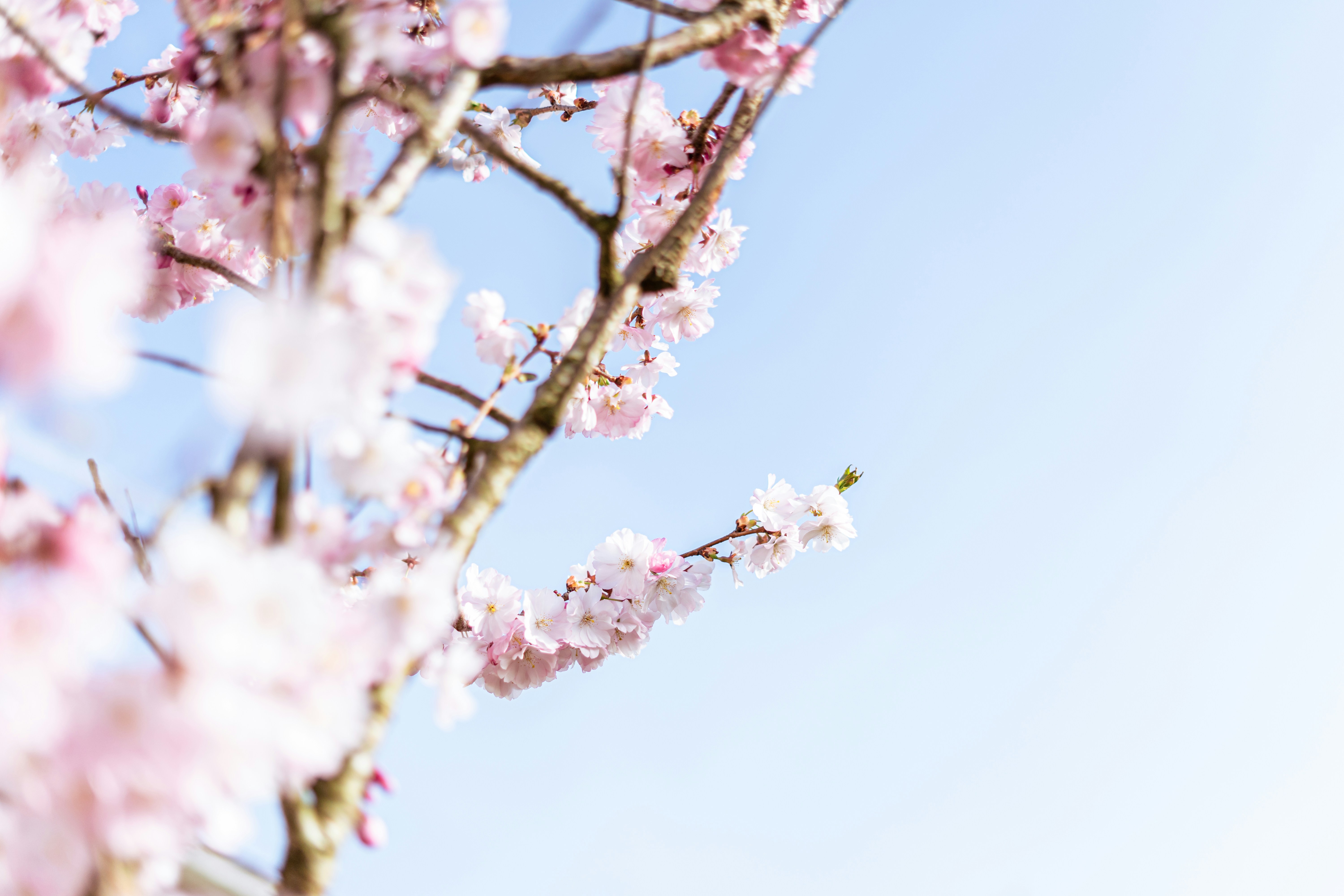 Photo by virussinside