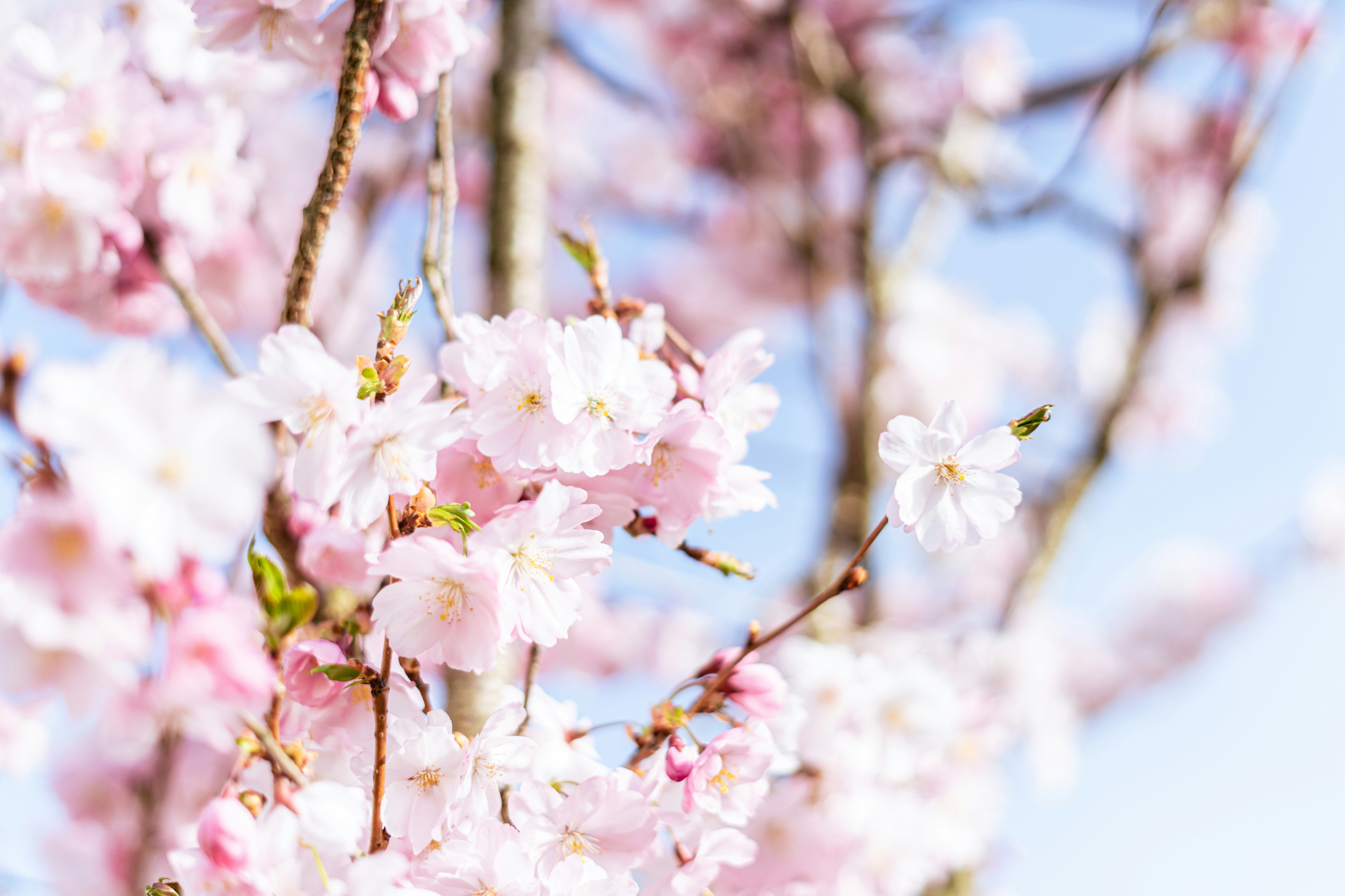 Photo by virussinside