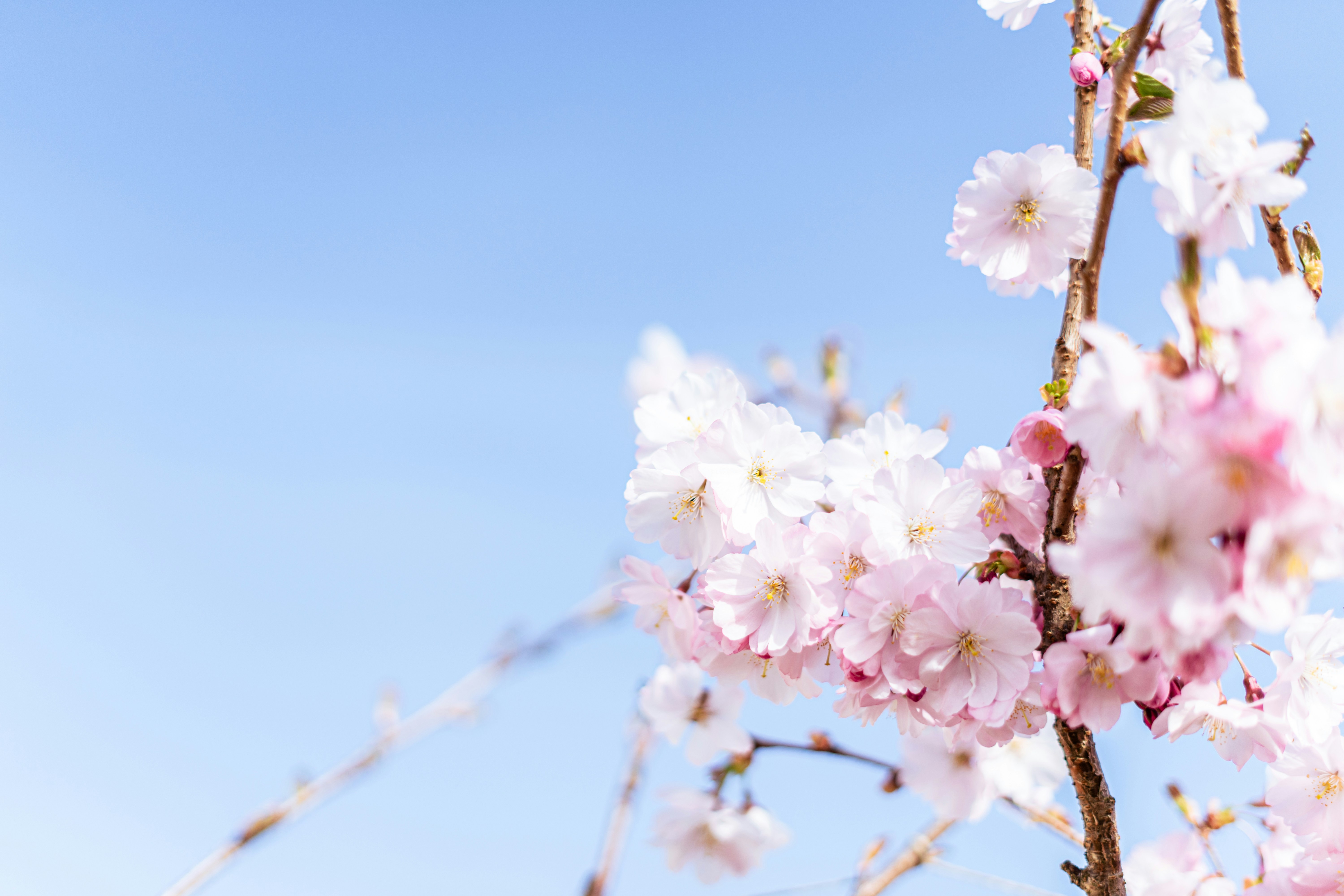 Photo by virussinside