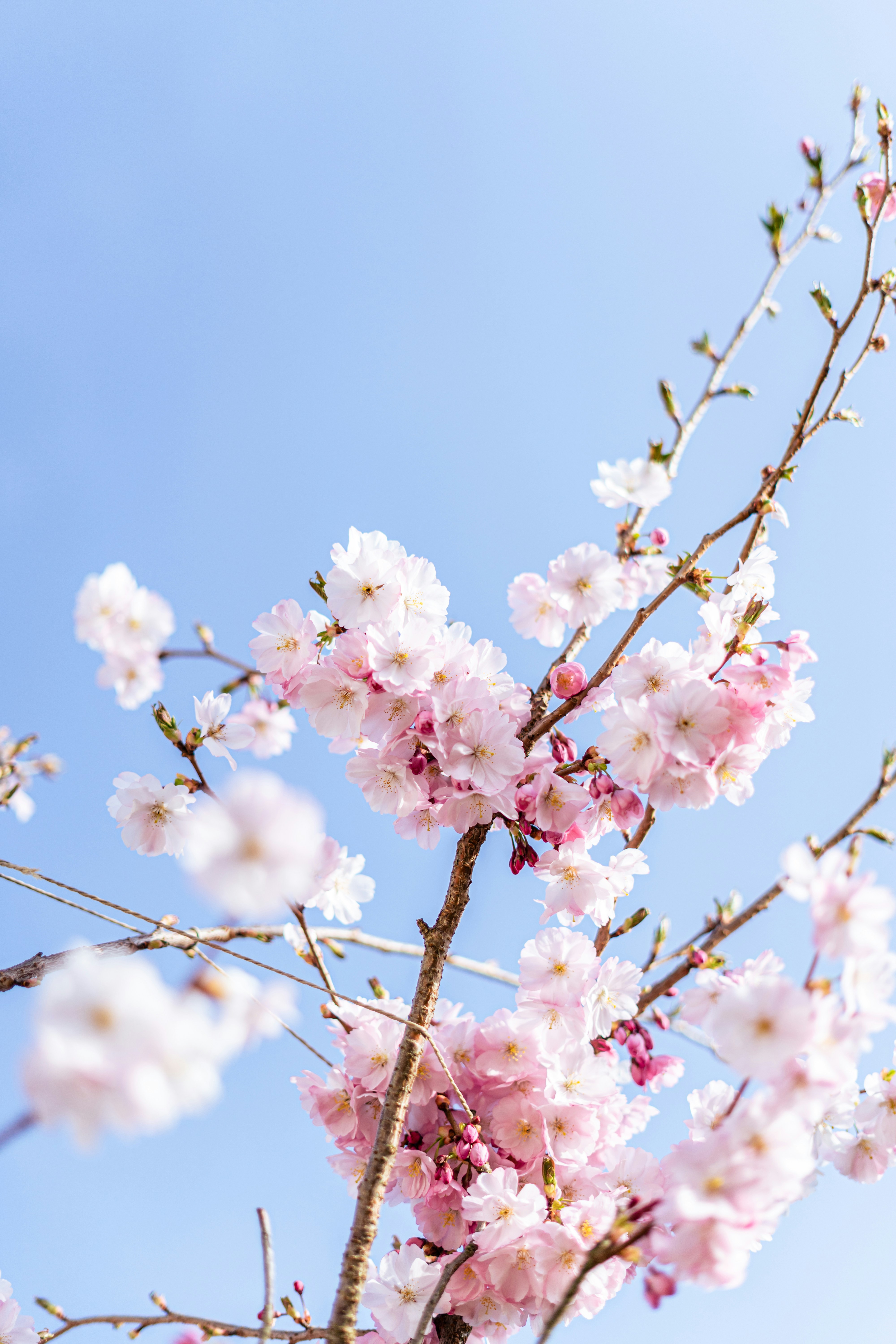 Photo by virussinside