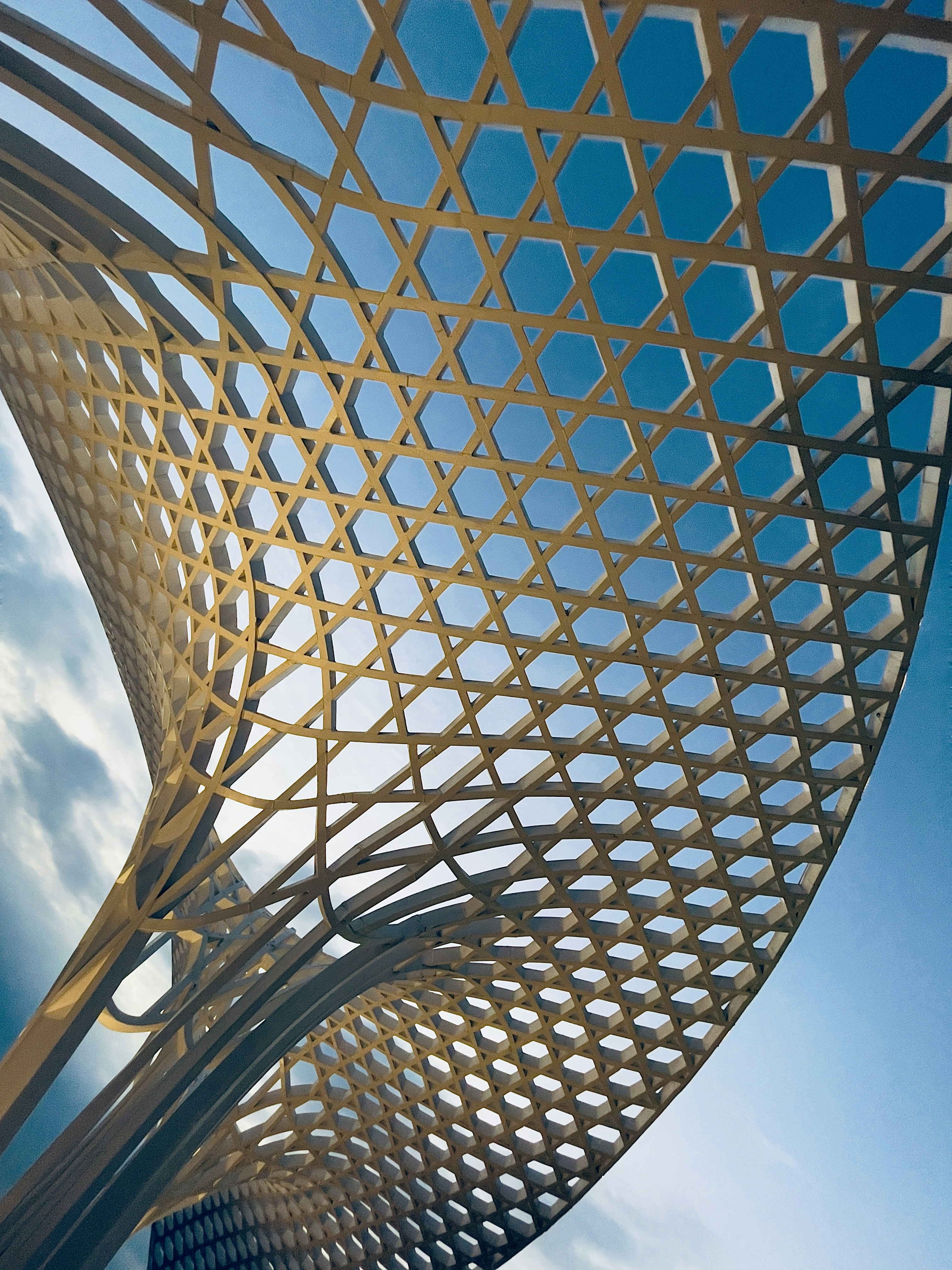 Photo by zhoujiazheng45