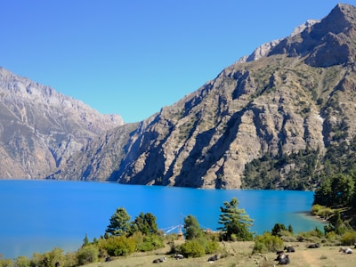 A serene landscape featuring a brilliant blue lake surrounded by towering mountains. The foreground is dotted with green trees and several grazing yaks. The sky is clear, contributing to the tranquil atmosphere.