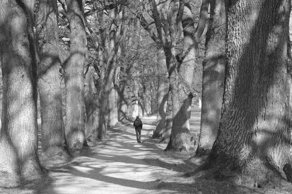 a black and white photo of a person walking down a tree lined path