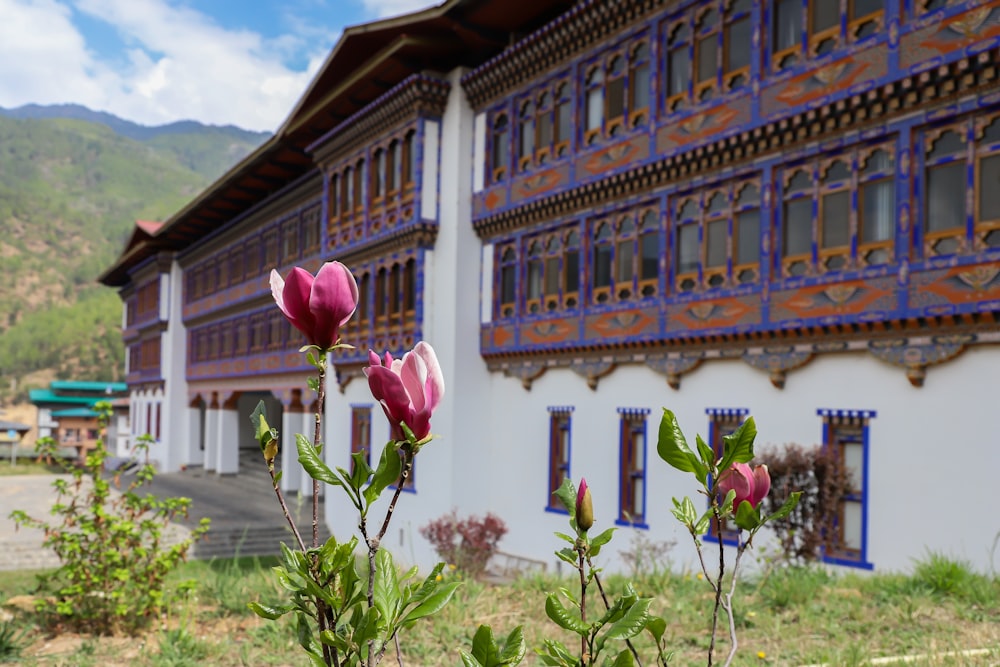 a flower in front of a building with mountains in the background