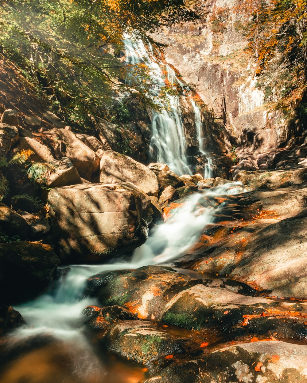 a small waterfall in the middle of a forest