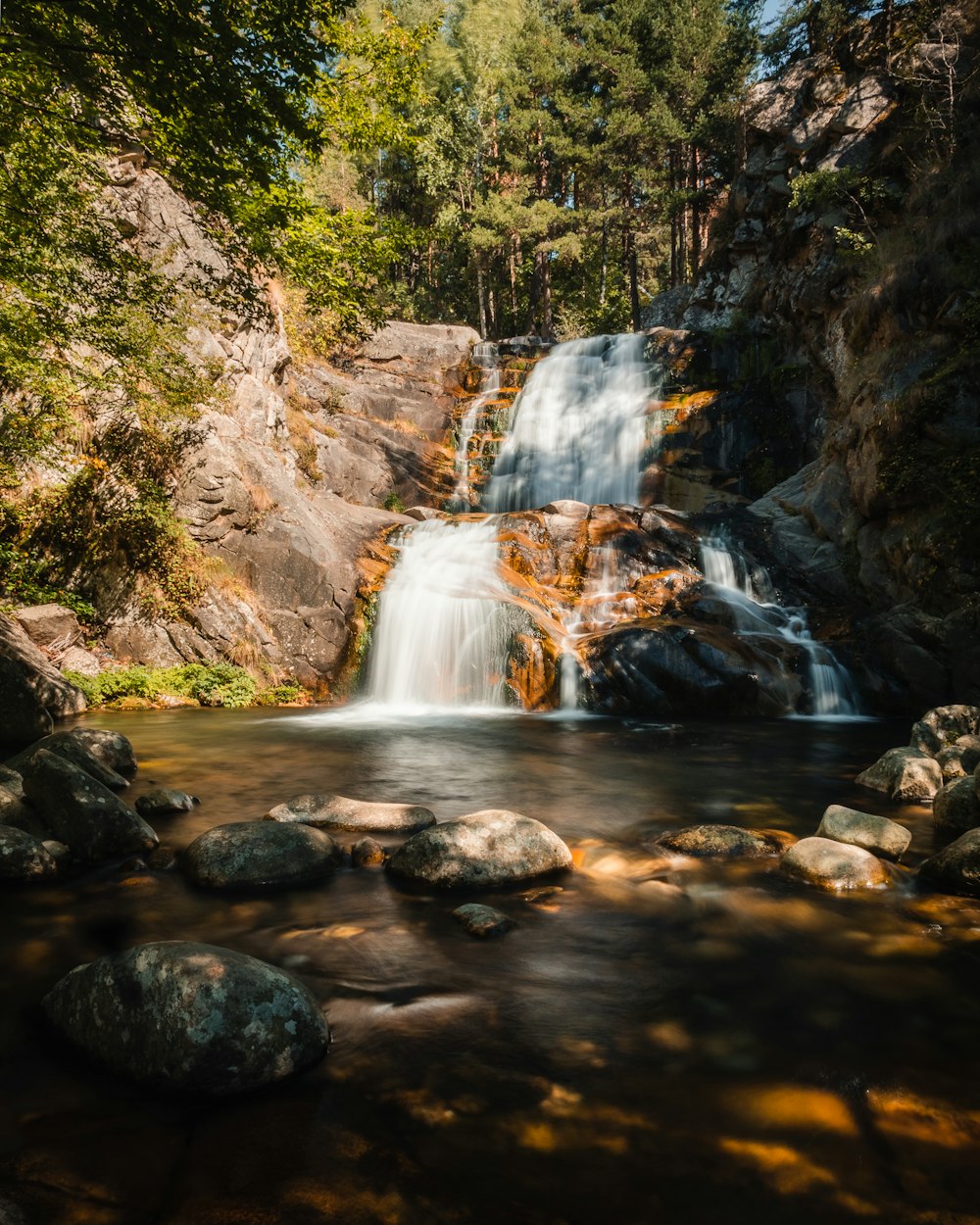 a small waterfall in the middle of a forest