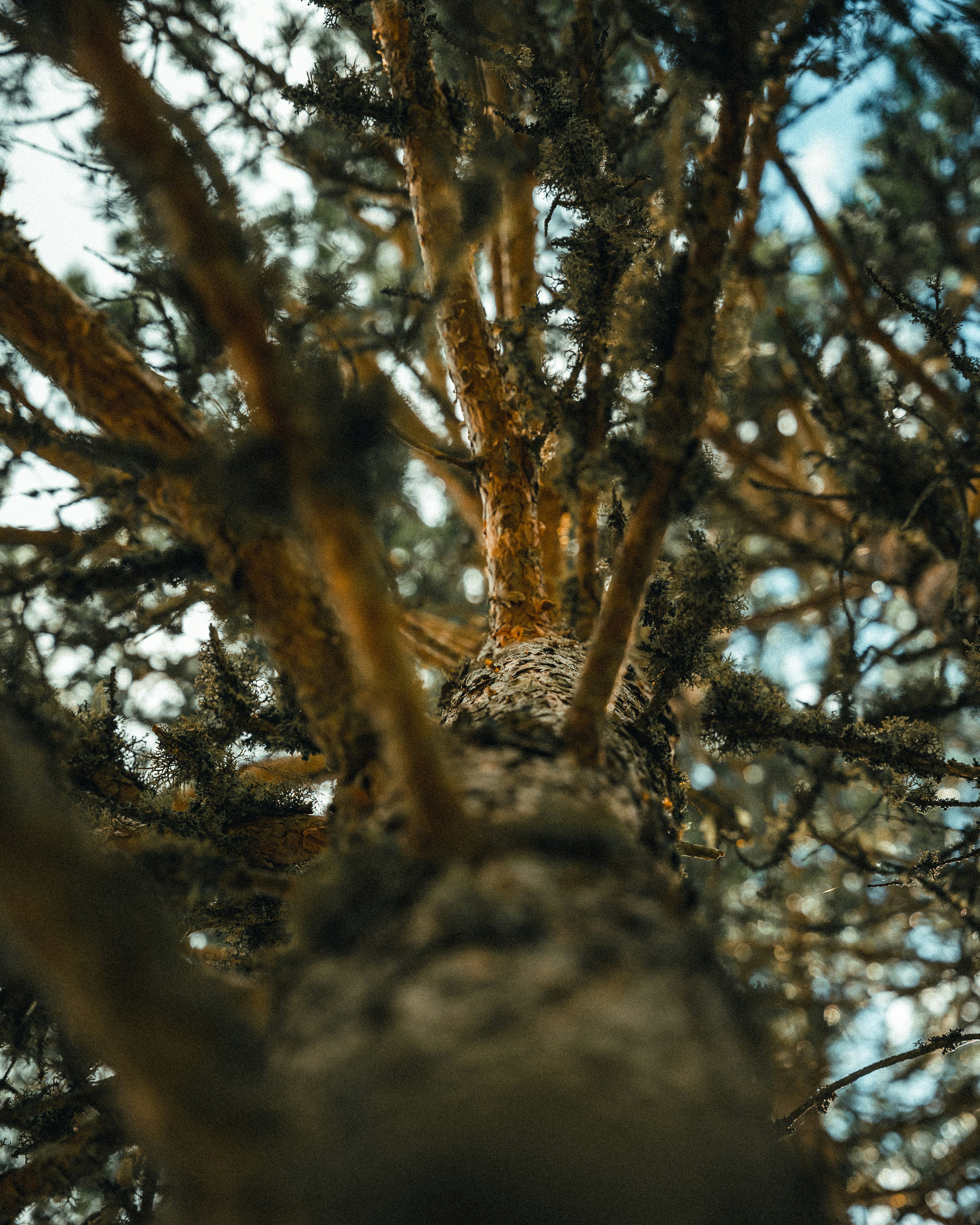 Photo by dannyspasov