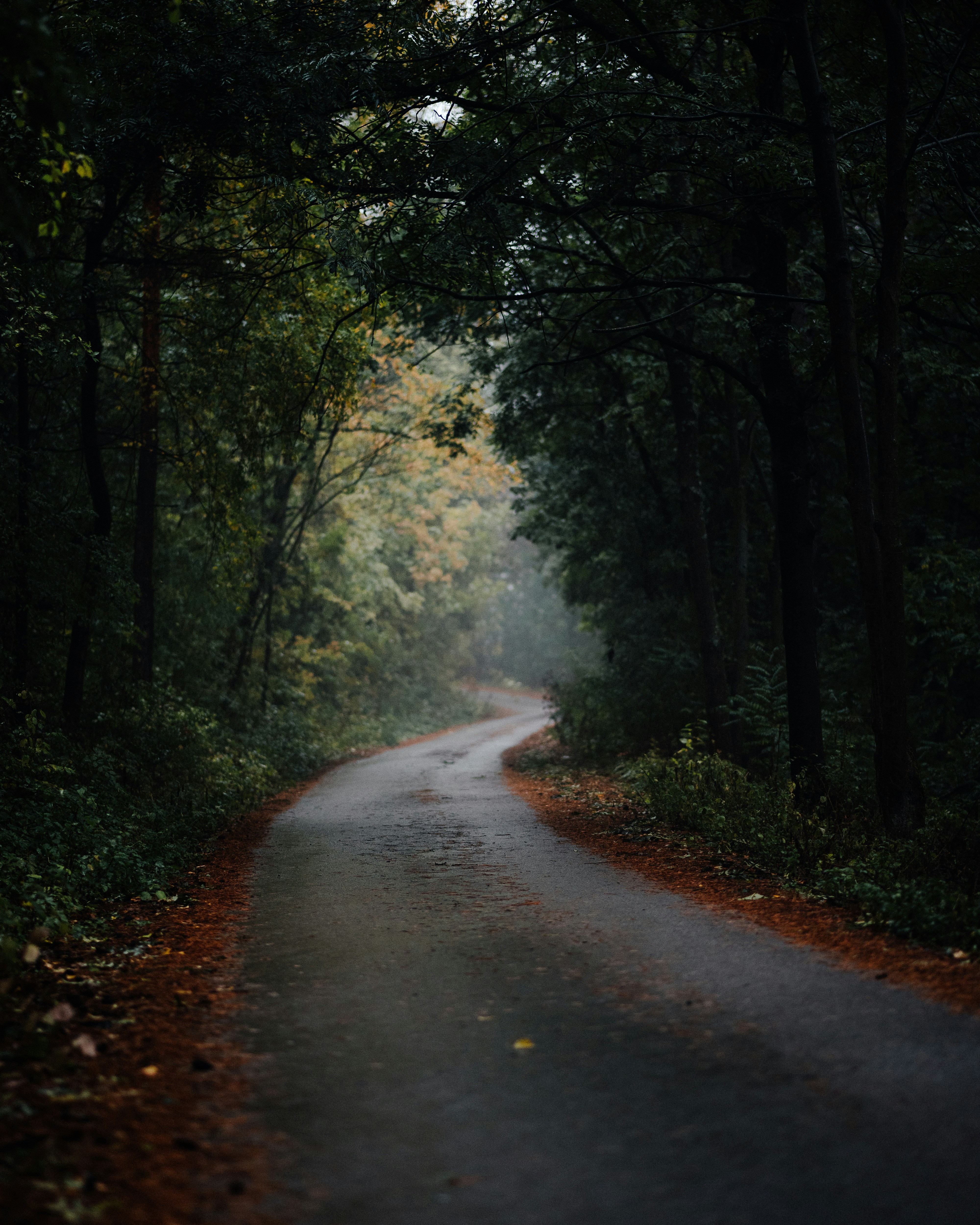 Photo by dannyspasov