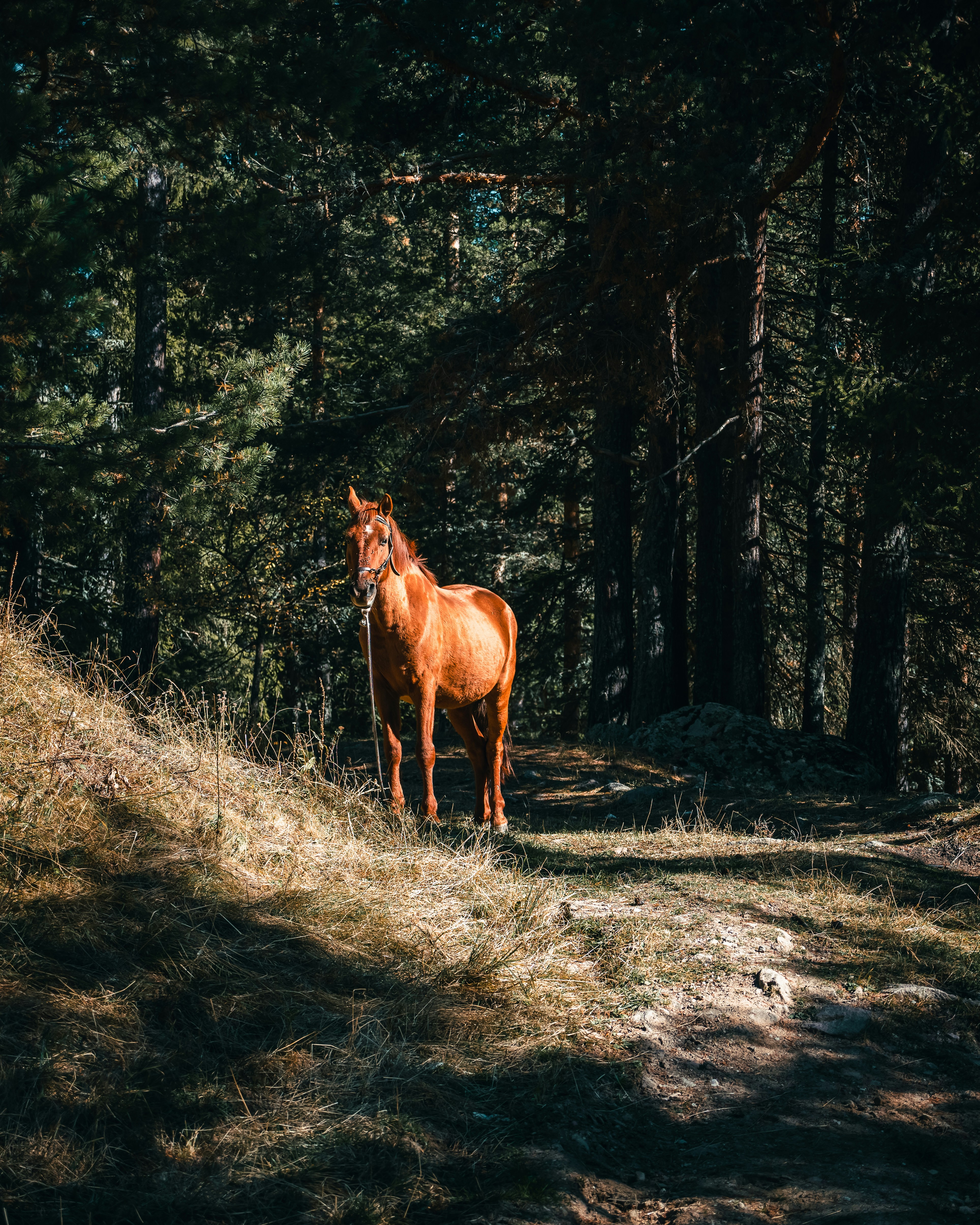 Photo by dannyspasov