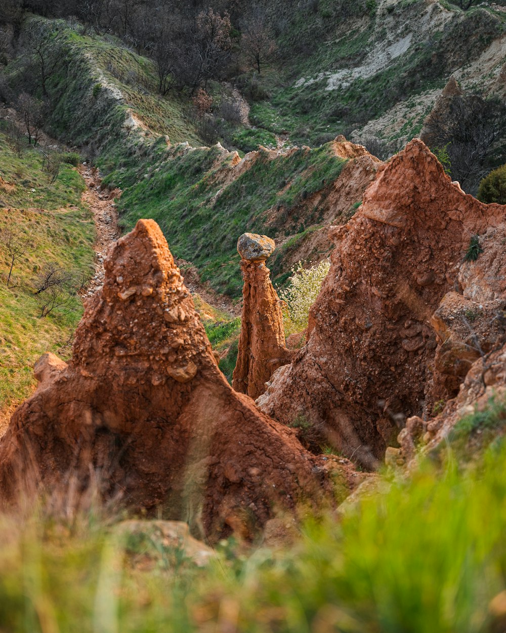 a bird perched on top of a pile of rocks