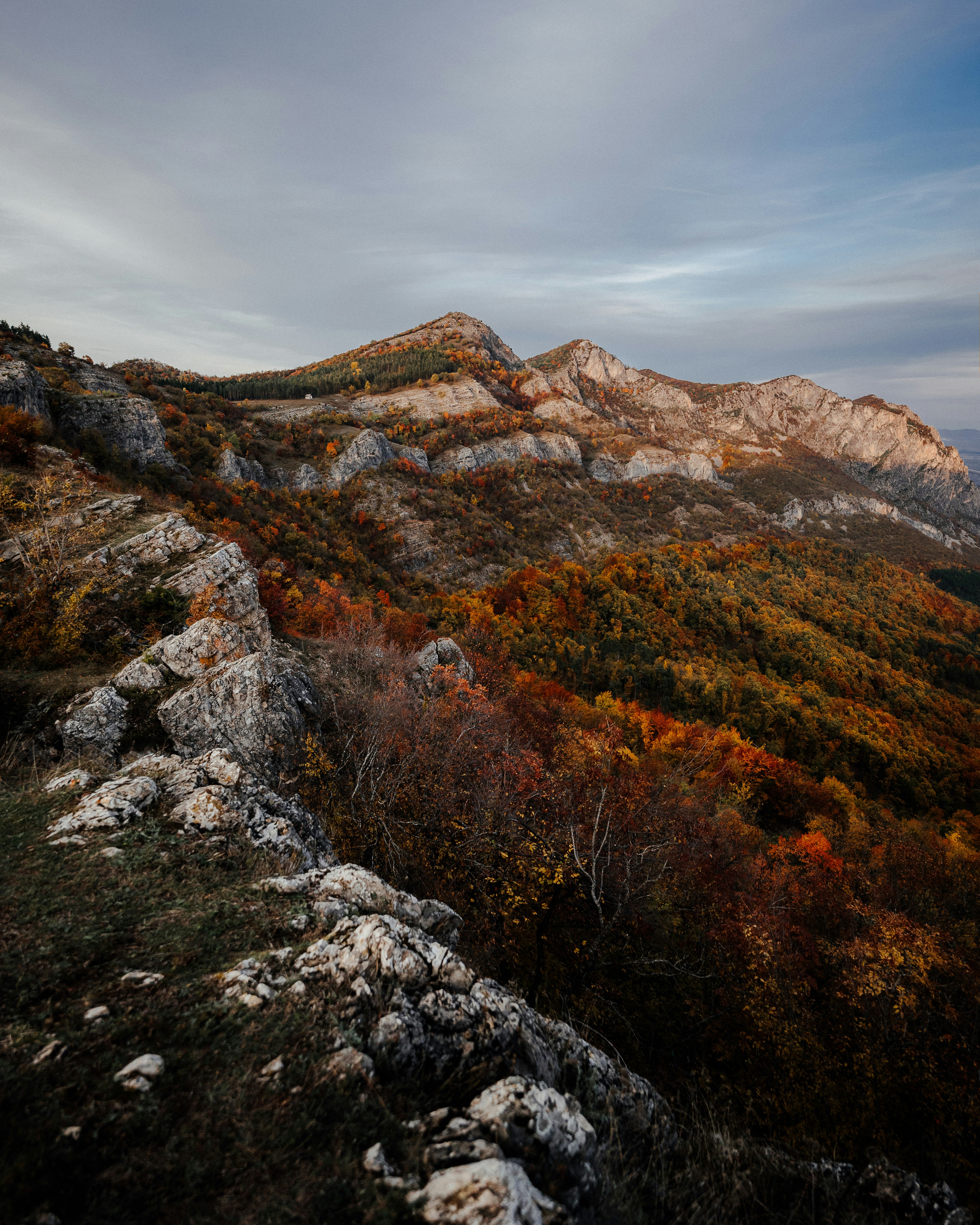 Svishtov and the Danube River Culture