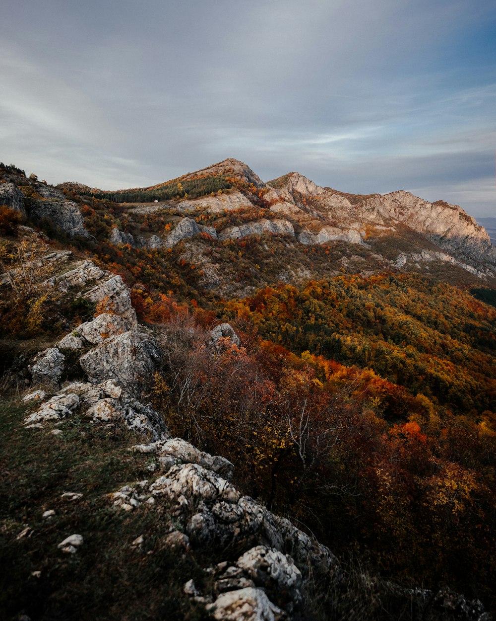 a view of a mountain range with trees in the foreground