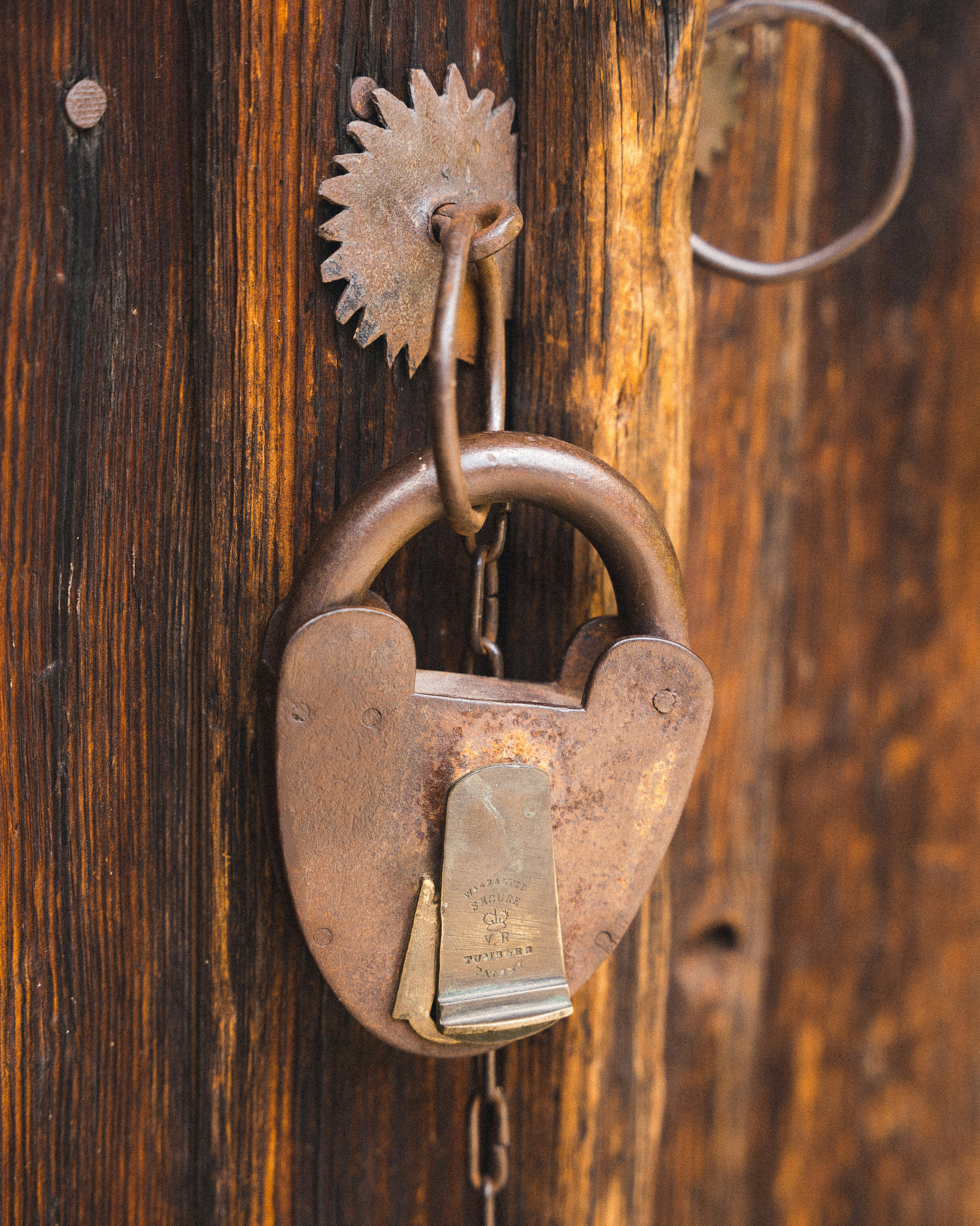 Photo by dannyspasov