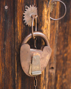 a close up of a lock on a wooden door