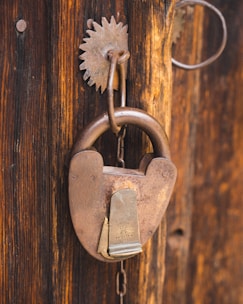 a close up of a lock on a wooden door