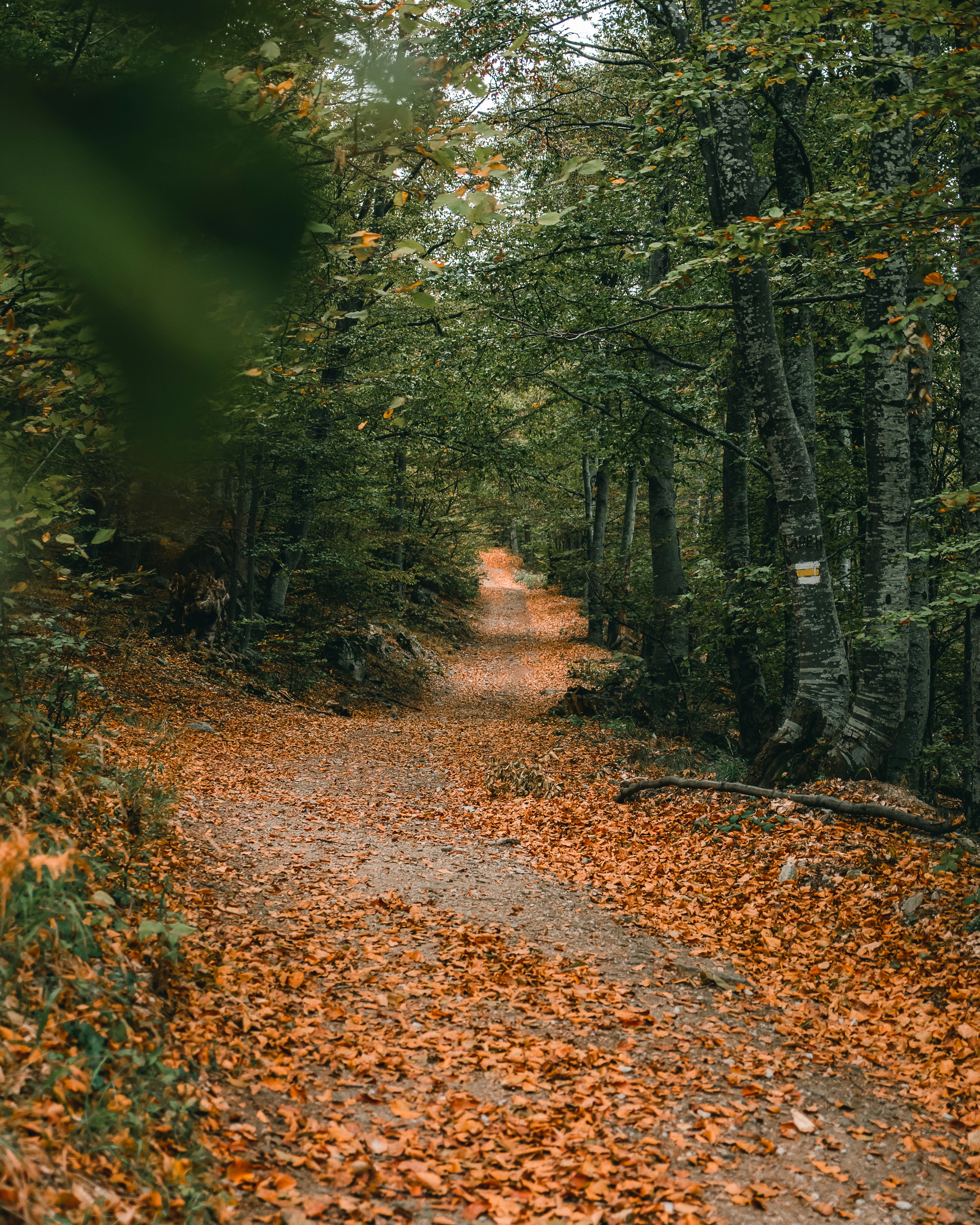 Photo by dannyspasov