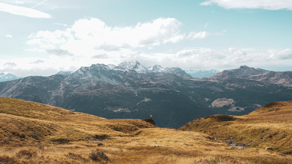 a man standing on top of a lush green hillside